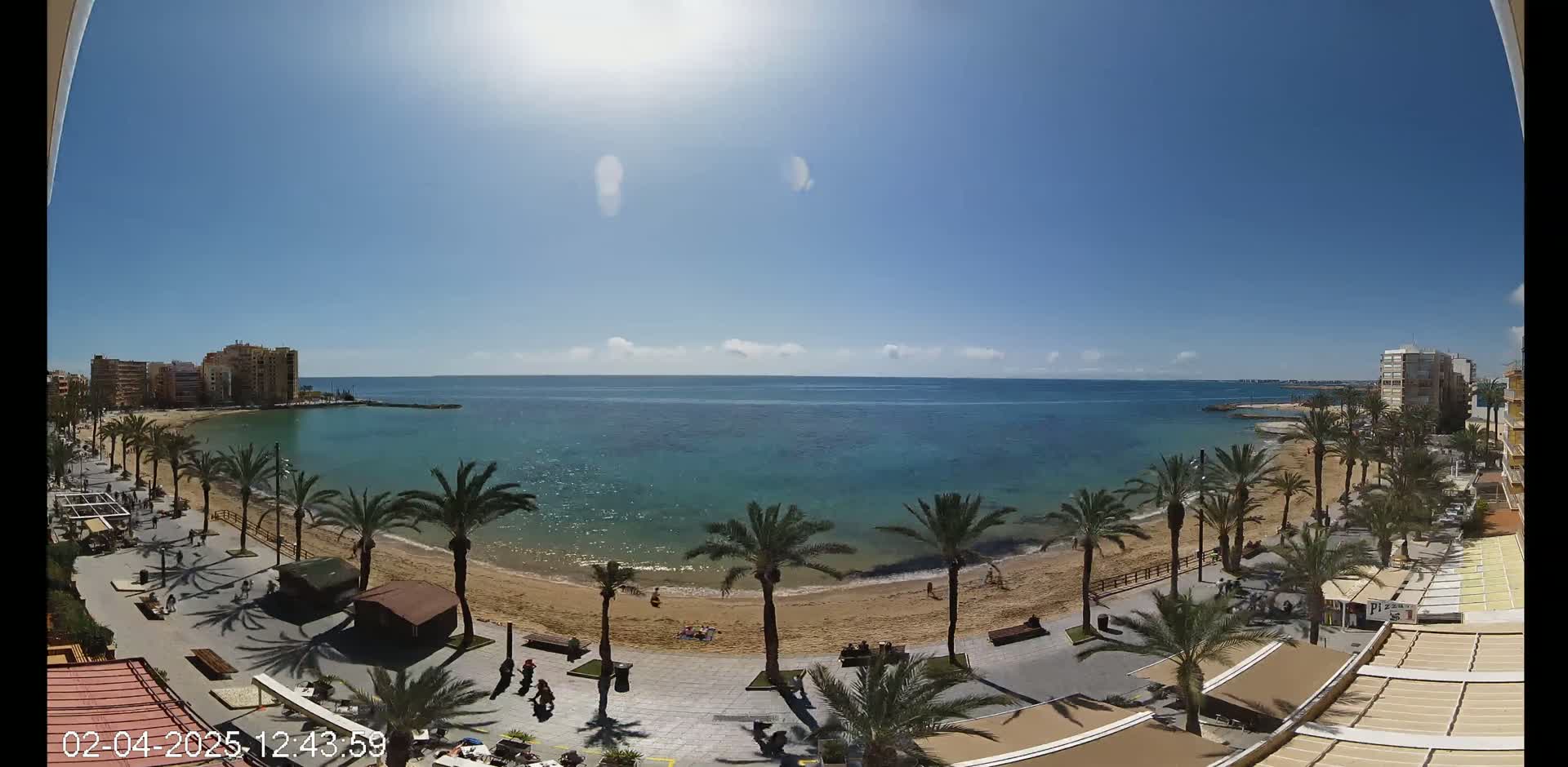 A sunny day at a beach shows a sandy shore lined with palm trees and buildings, with a calm, turquoise sea extending to the horizon.