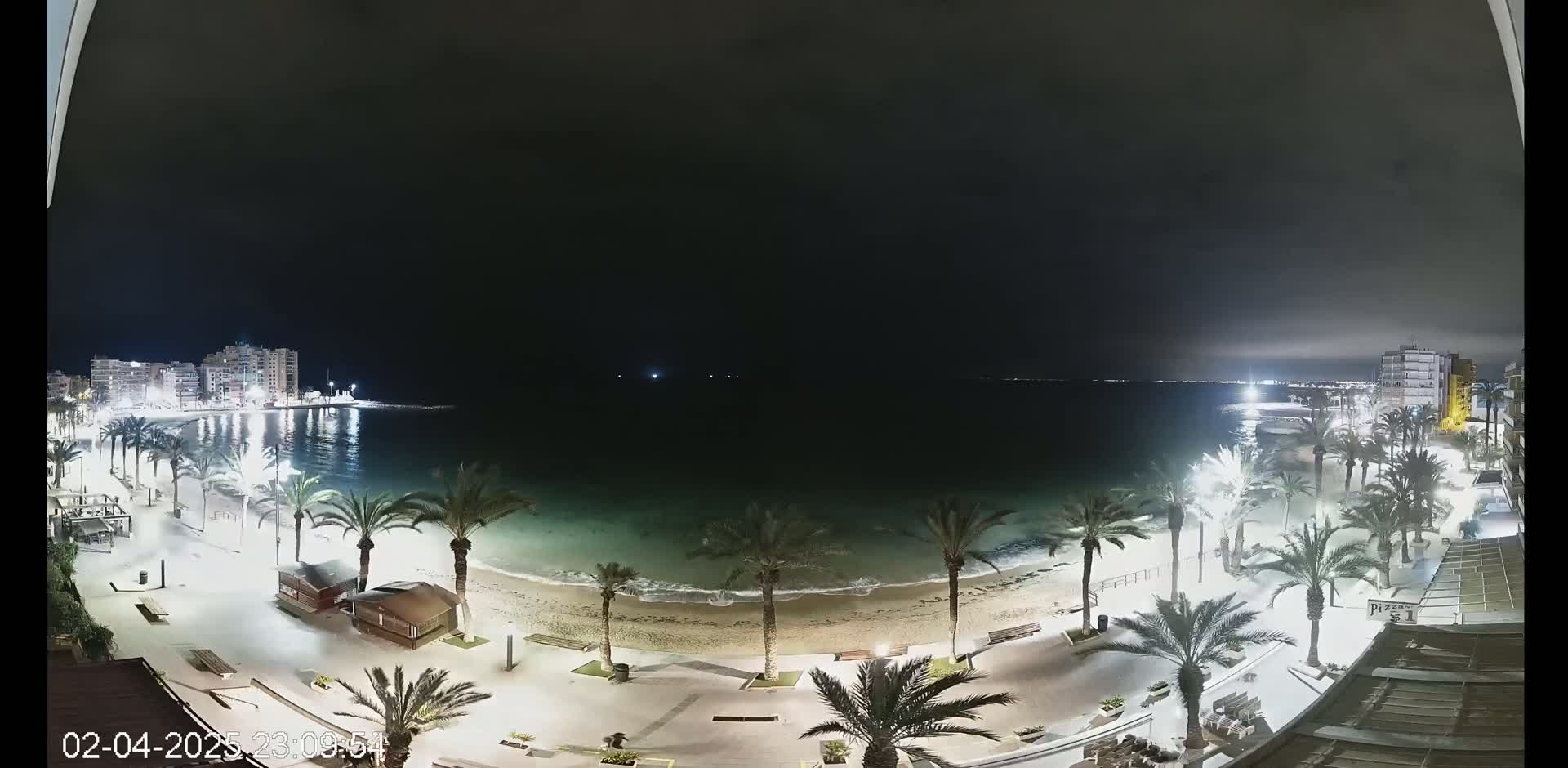 A nighttime view of a beach with palm trees lining a paved walkway, buildings in the distance, and calm water under a dark sky.