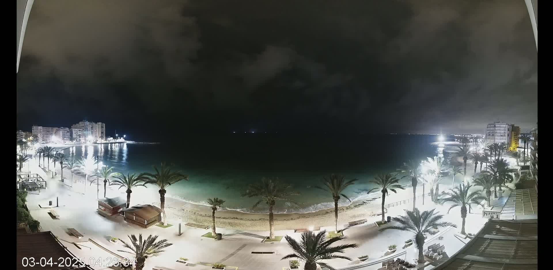 A nighttime view of a beach with palm trees lining a paved walkway, illuminated buildings in the background, and calm, dark water under a cloudy sky.