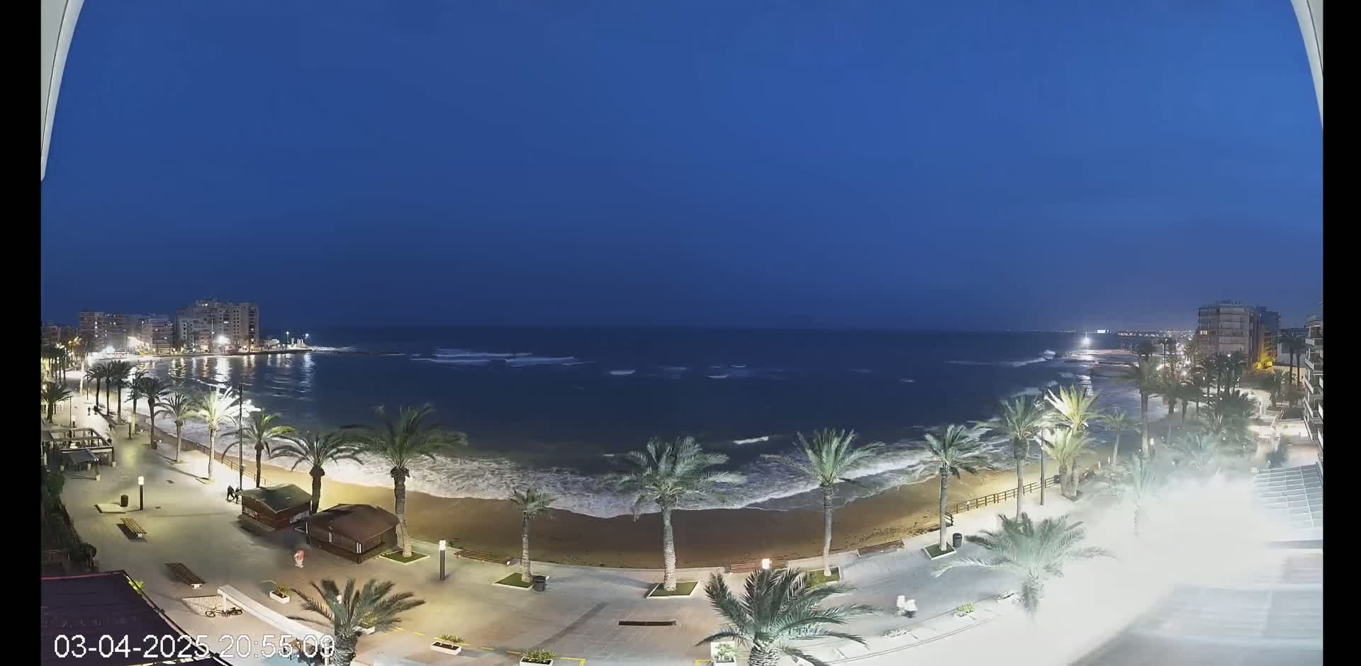 A nighttime view of a beach with palm trees lining a paved walkway, gentle waves lapping the shore, and buildings visible in the distance under a clear, dark blue sky.