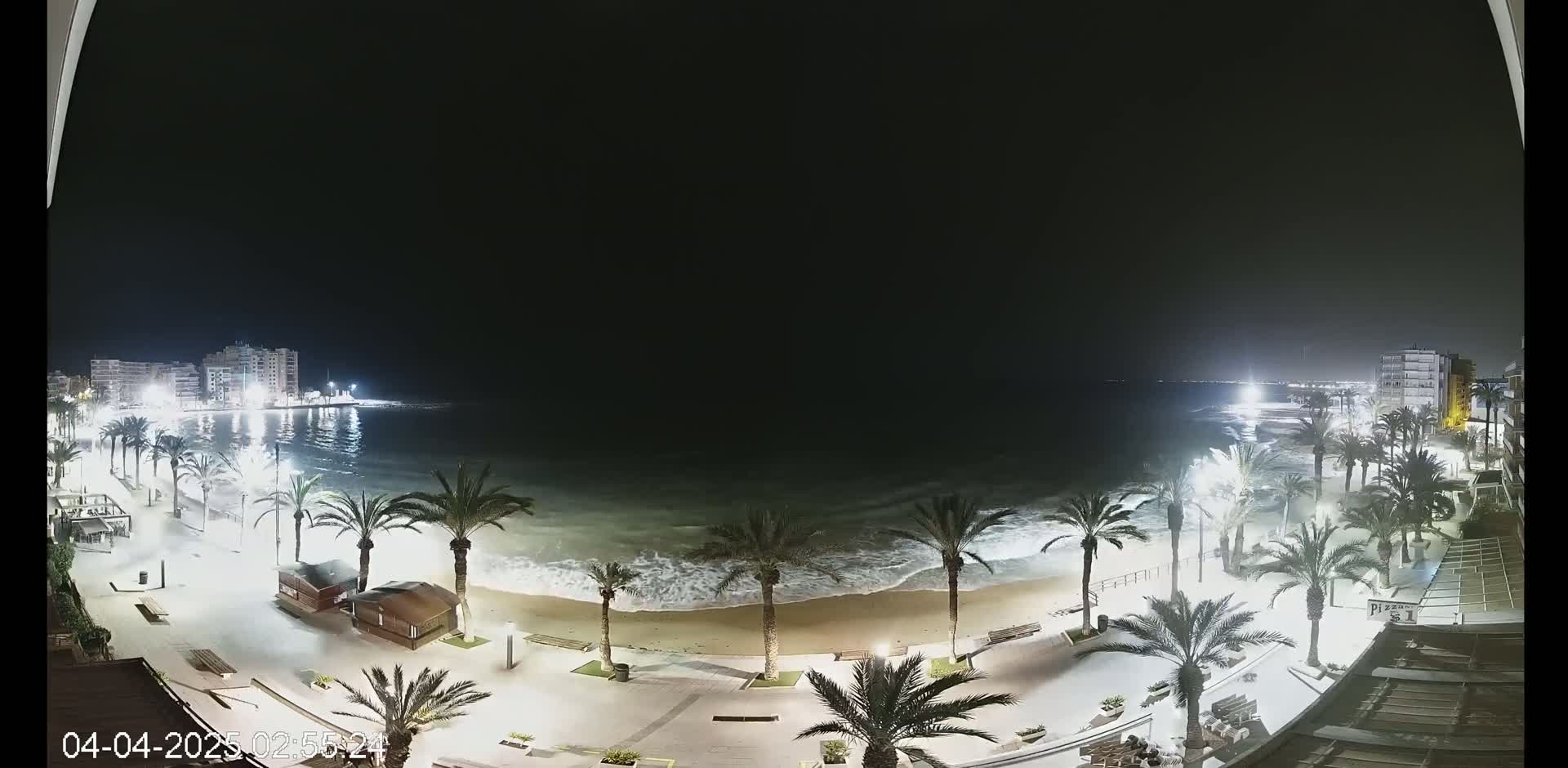 A nighttime view of a beach with palm trees lining a paved walkway, buildings in the distance, and gently crashing waves under a dark sky.