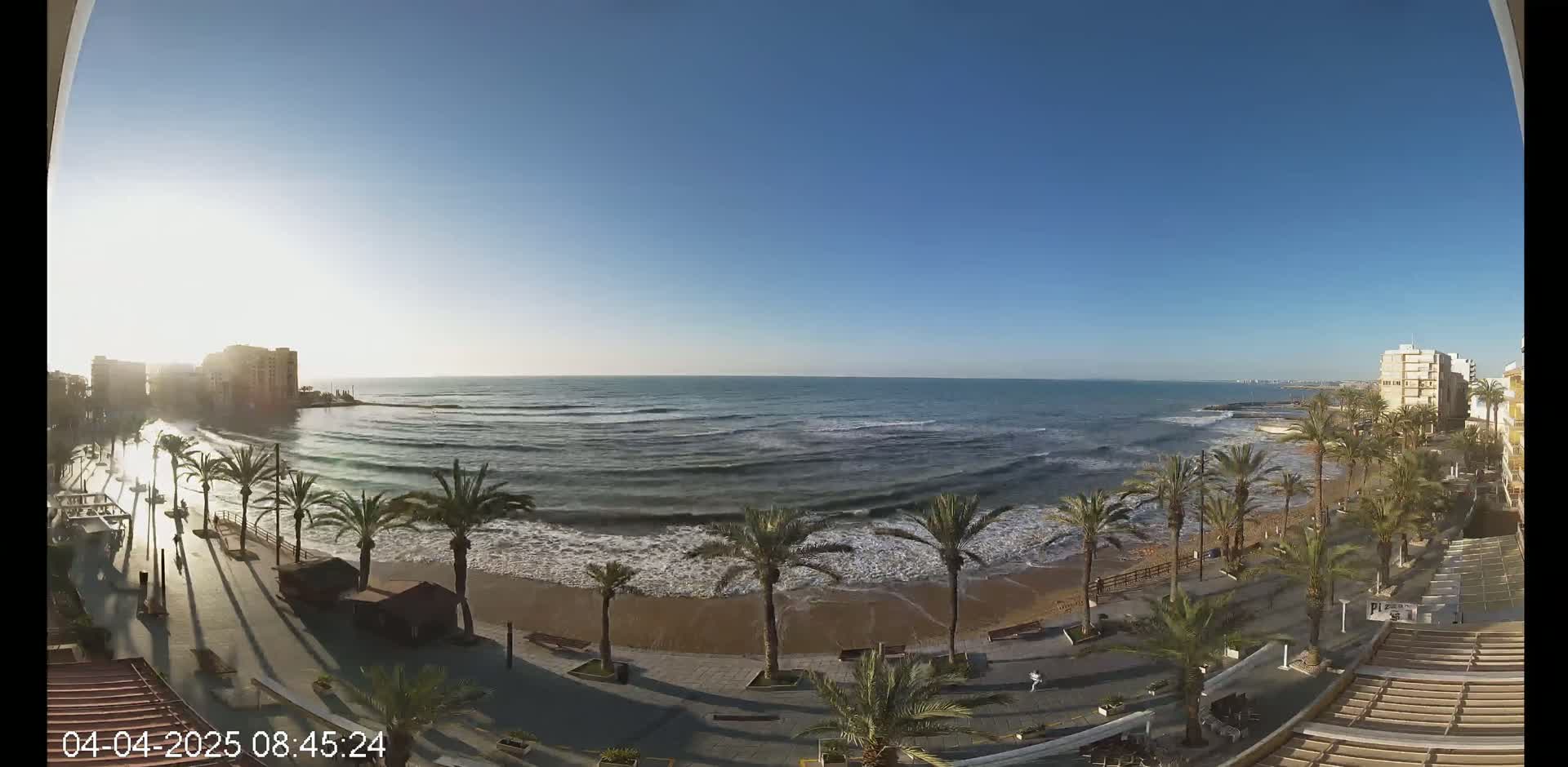 A sunny day shows a beach with palm trees lining a promenade, gentle waves lapping the shore, and buildings visible in the distance.