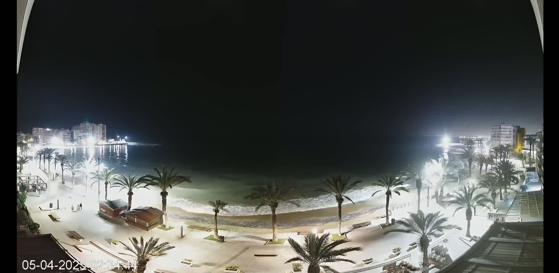 A nighttime view of a beach at the edge of a town, with palm trees lining a paved walkway, gentle waves lapping the shore under a clear, dark sky.