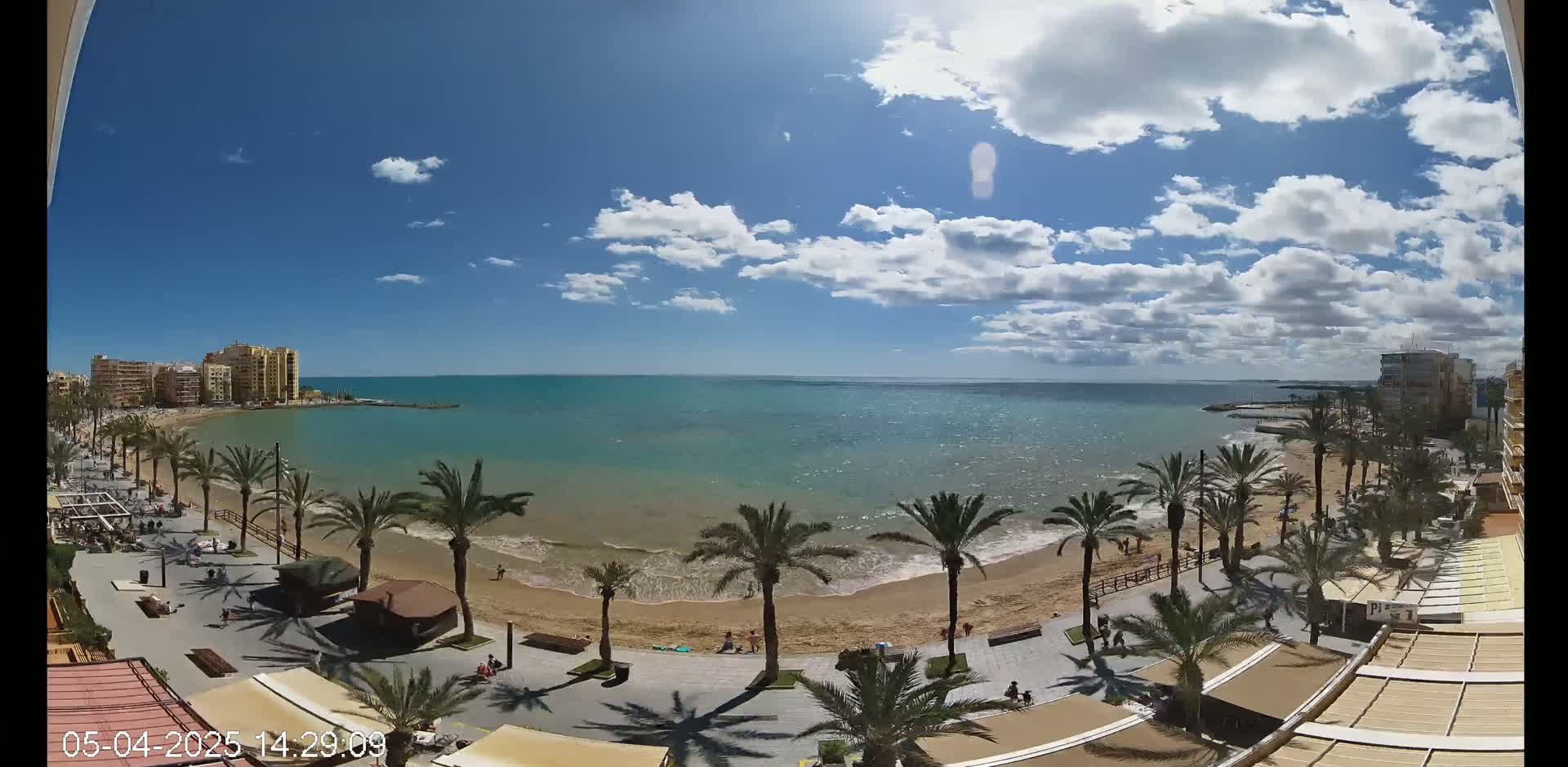 A sandy beach with palm trees and buildings is visible on a partly cloudy day, next to a calm, light-blue ocean.