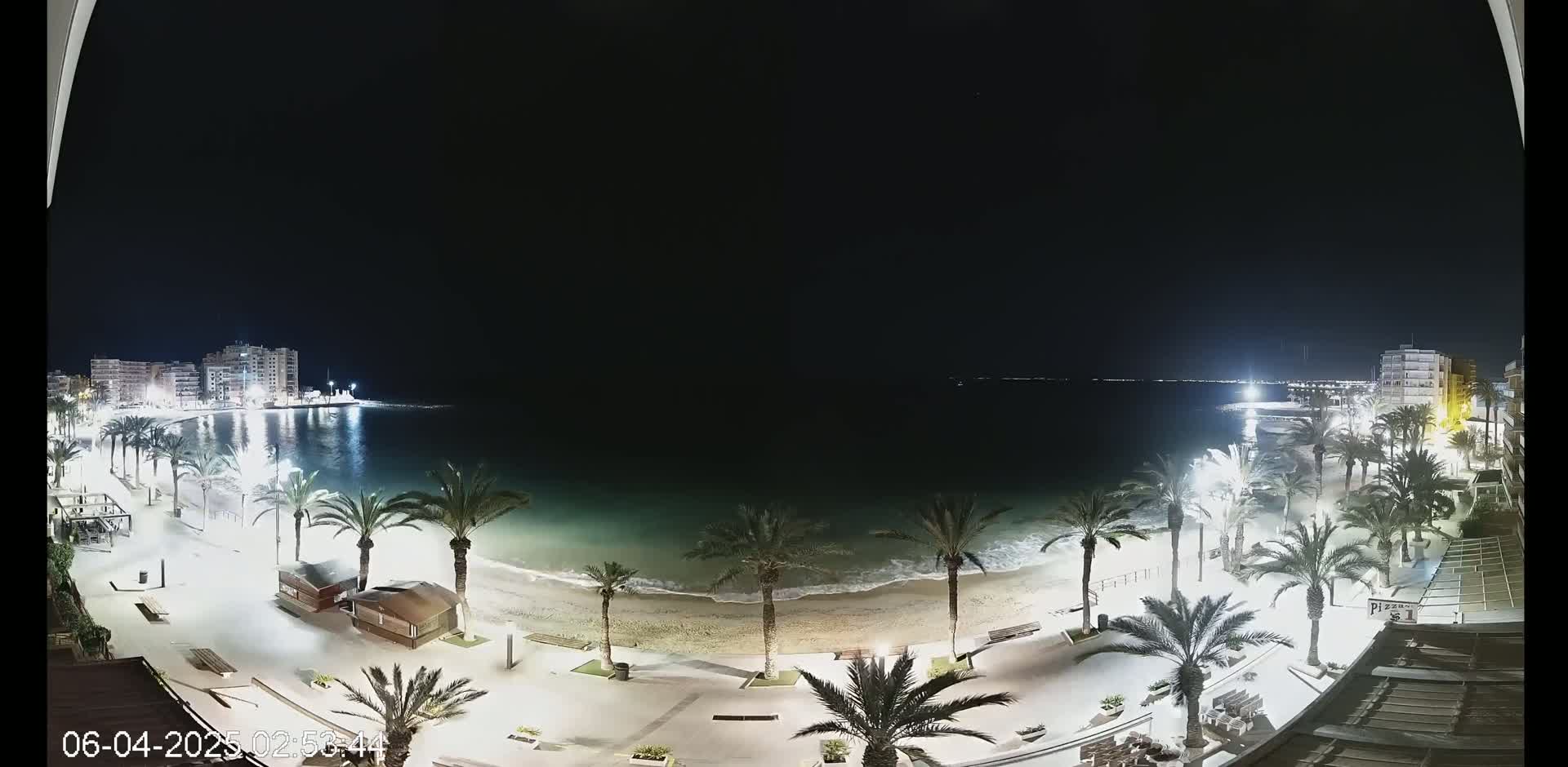 A nighttime view of a beach at the edge of a town, lined with palm trees and lit with streetlights, under a clear, dark sky.