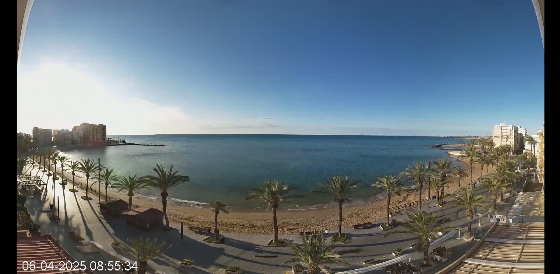 A sunny day overlooks a calm ocean beach lined with palm trees and buildings.