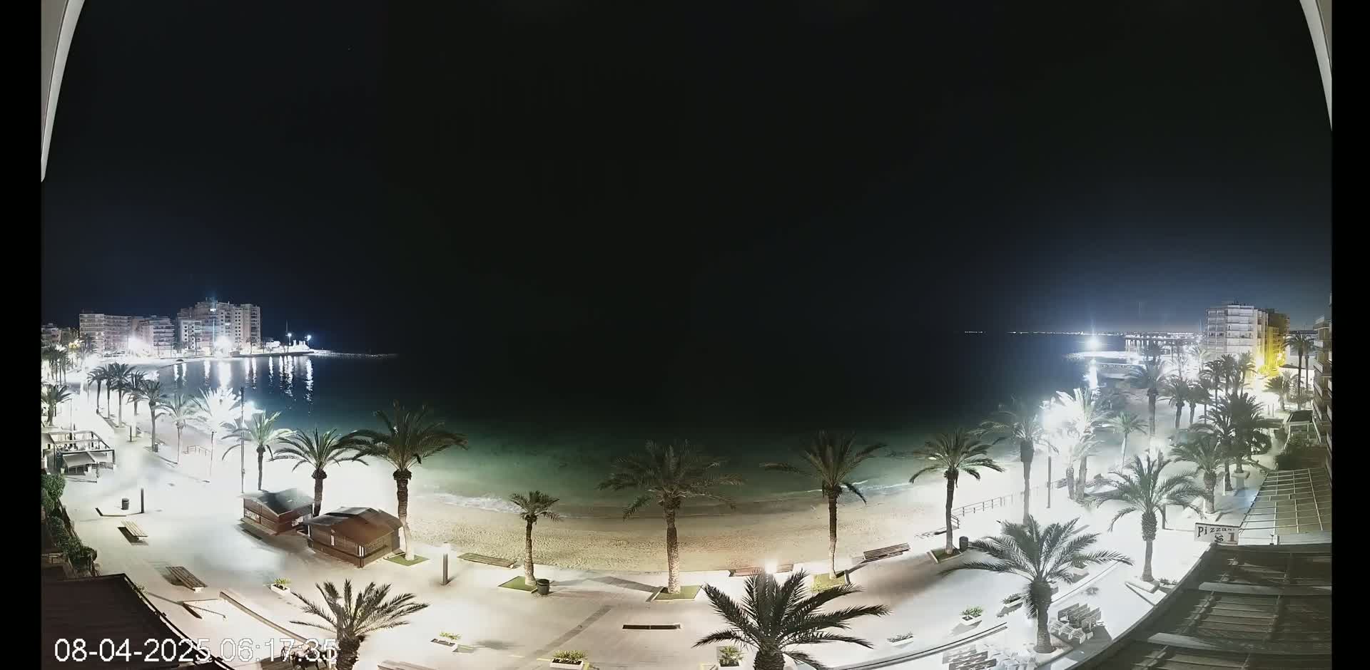 A nighttime, high-angle view of a beach with palm trees lining a paved walkway, buildings in the background, and calm water under a dark sky.