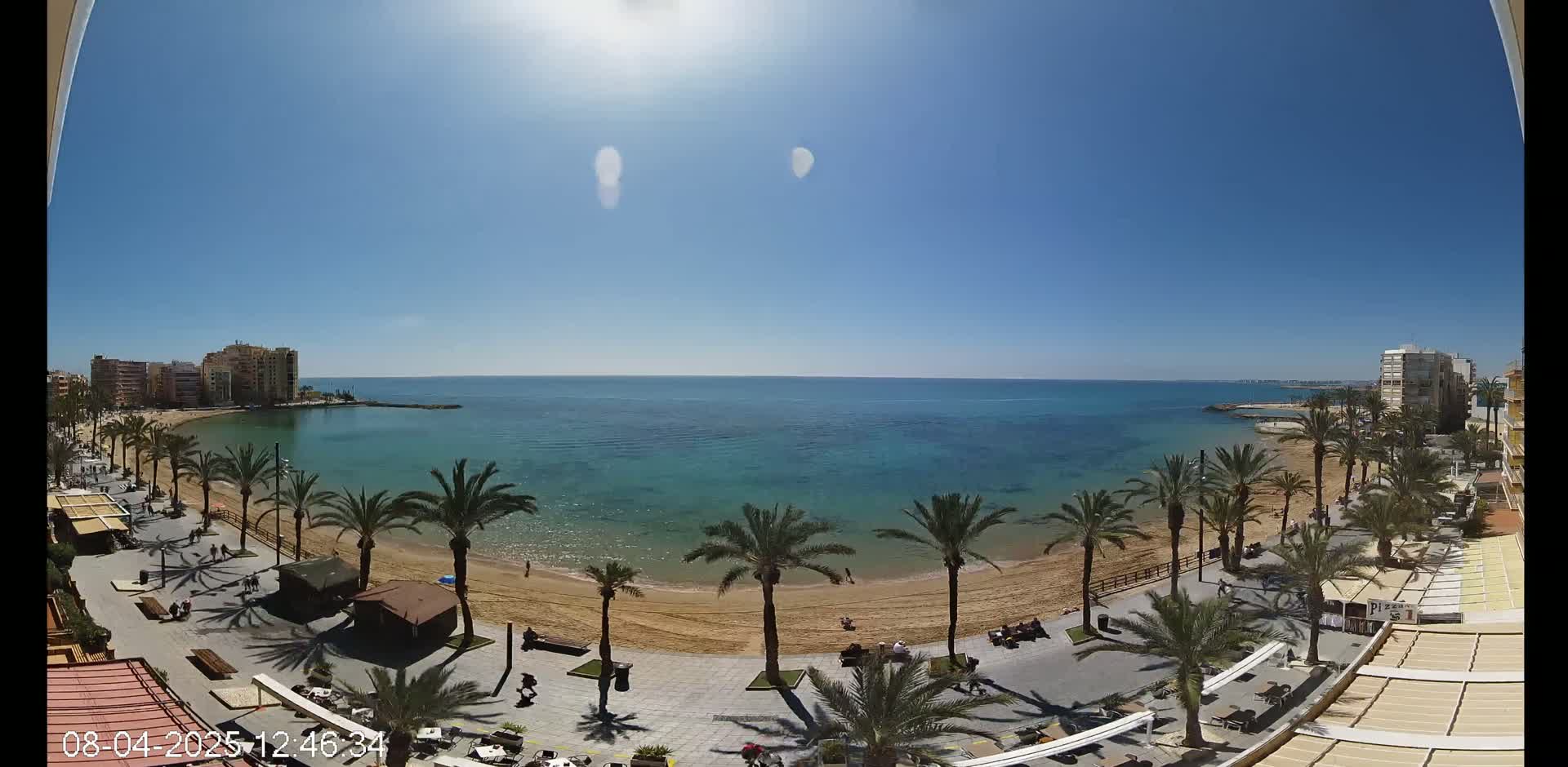 A sunny day reveals a sandy beach lined with palm trees, bordered by a paved walkway and buildings, all overlooking a calm, turquoise ocean.
