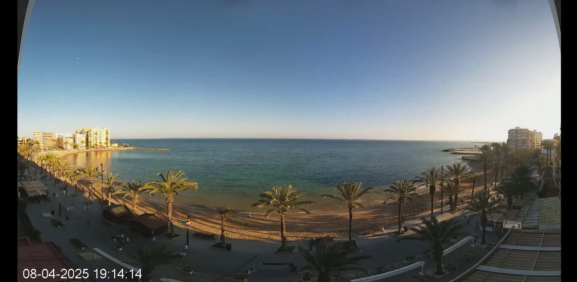 A sandy beach lined with palm trees and buildings stretches along a calm, clear ocean under a bright blue sky.