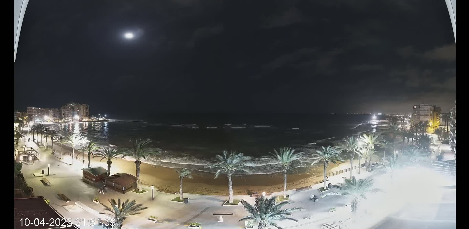 A nighttime view of a beach with palm trees, buildings in the distance, and gently rolling waves under a mostly clear, moonlit sky.