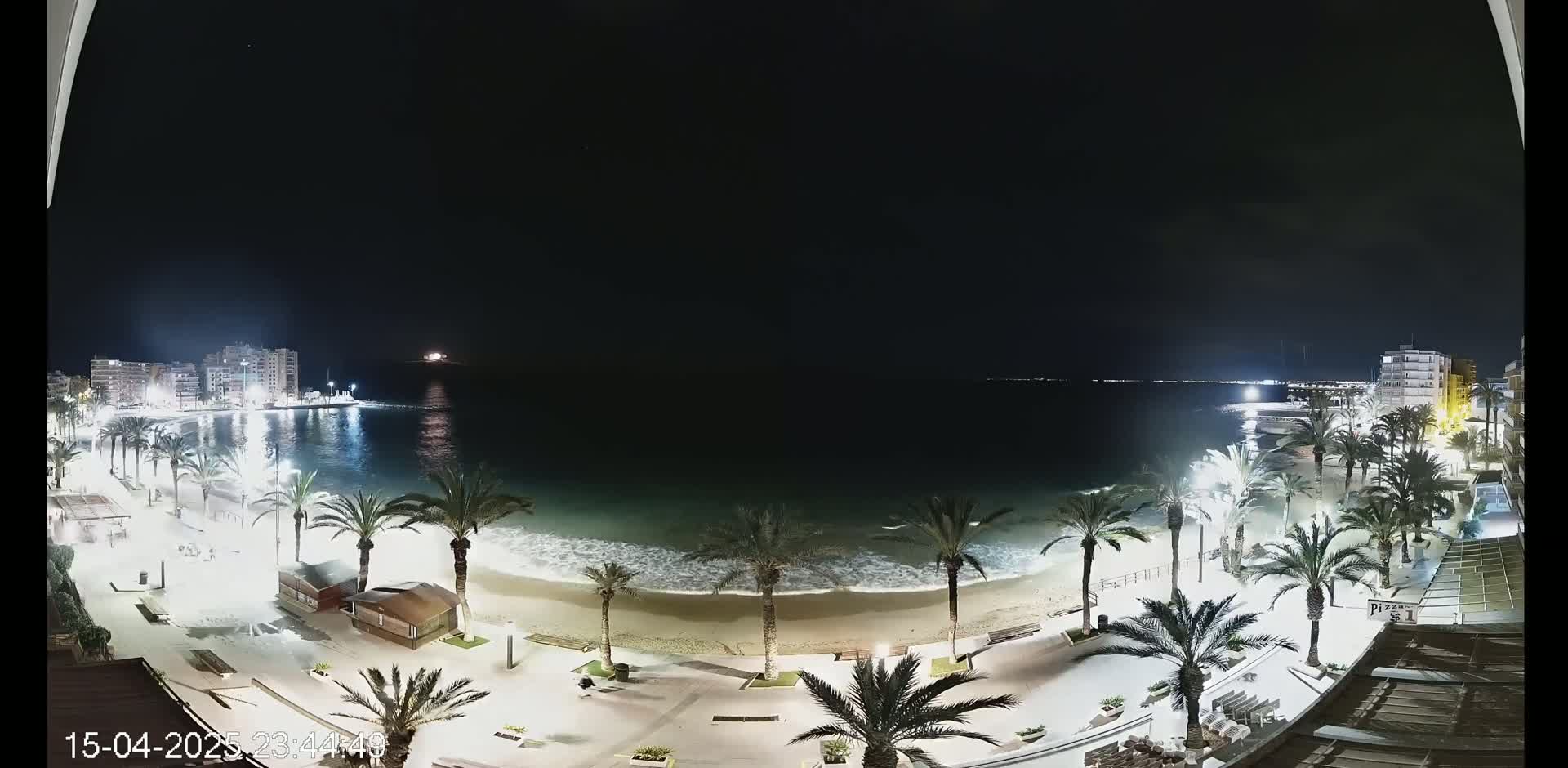 A nighttime view of a beach with palm trees lining a paved walkway, calm waves lapping the shore, and buildings illuminated in the distance under a clear, dark sky.
