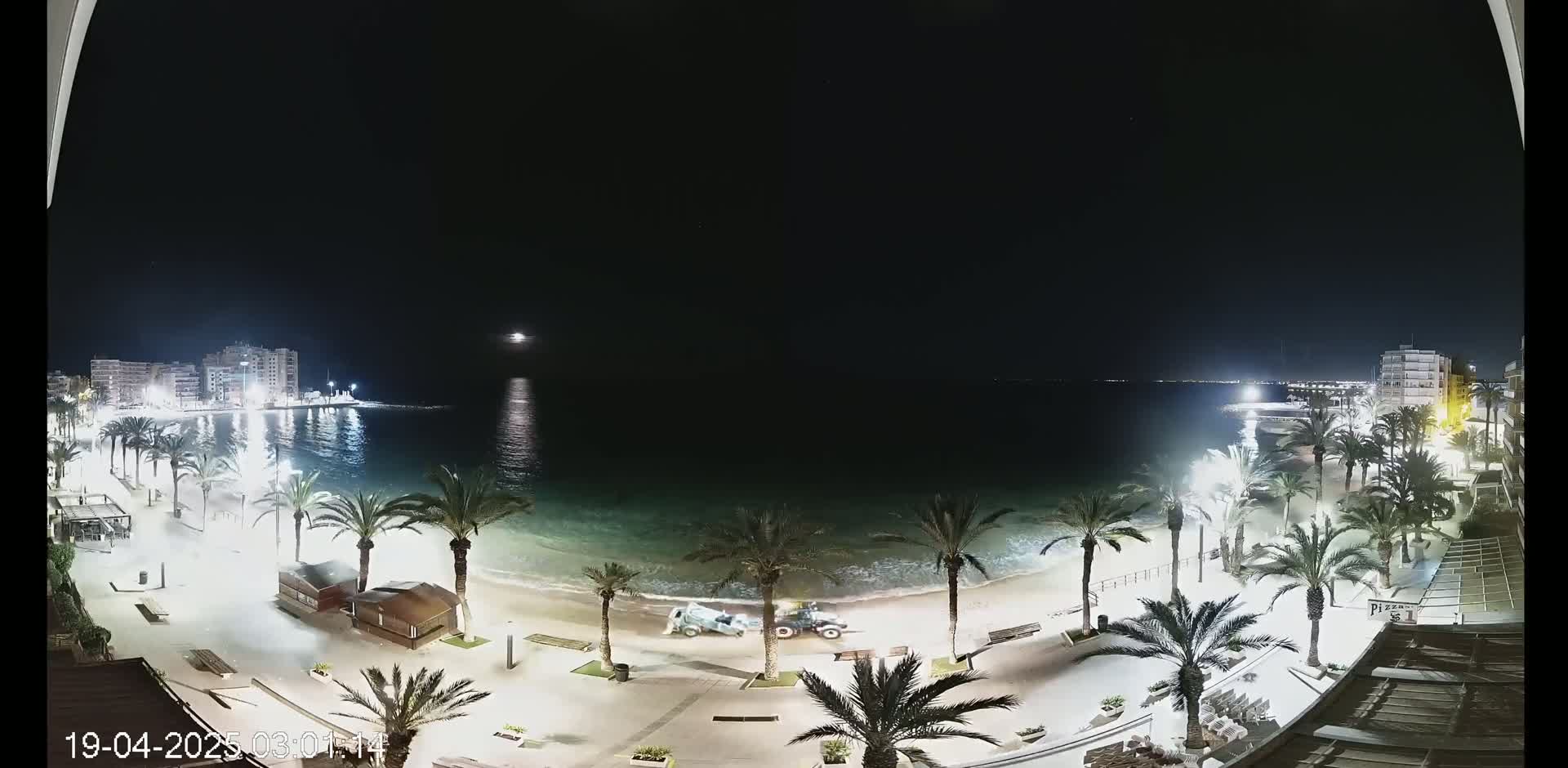 A nighttime, seaside view shows a beach with palm trees lining a paved walkway, buildings in the distance, and a vehicle near the water's edge under a clear, dark sky.