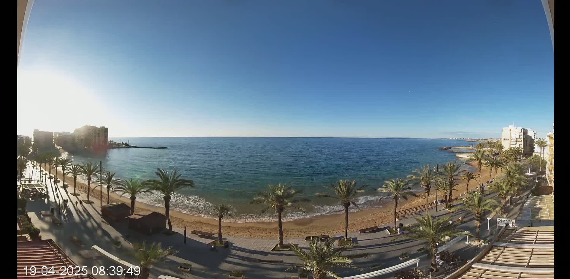 A sunny day reveals a beach with palm trees lining a boardwalk next to calm, blue ocean water and buildings in the distance.