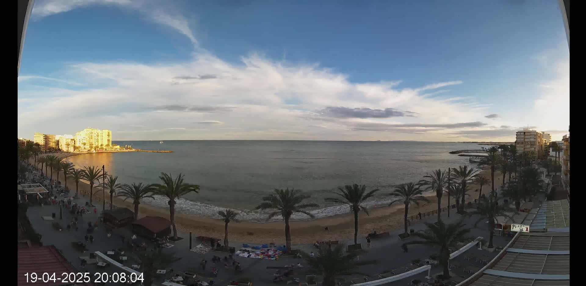 A sandy beach with palm trees lines a calm ocean under a partly cloudy sky at sunset, with buildings visible in the distance.