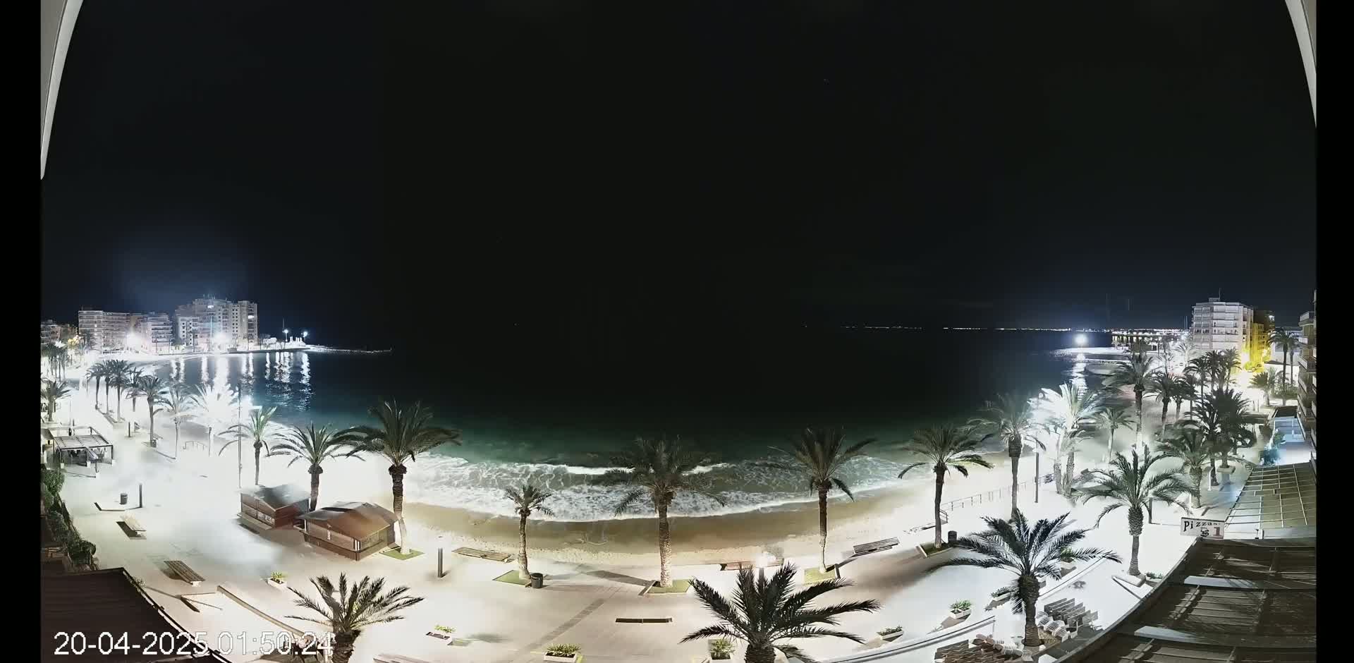 A nighttime view of a beach at night with palm trees lining a paved walkway, buildings in the distance, and gentle waves lapping the shore.