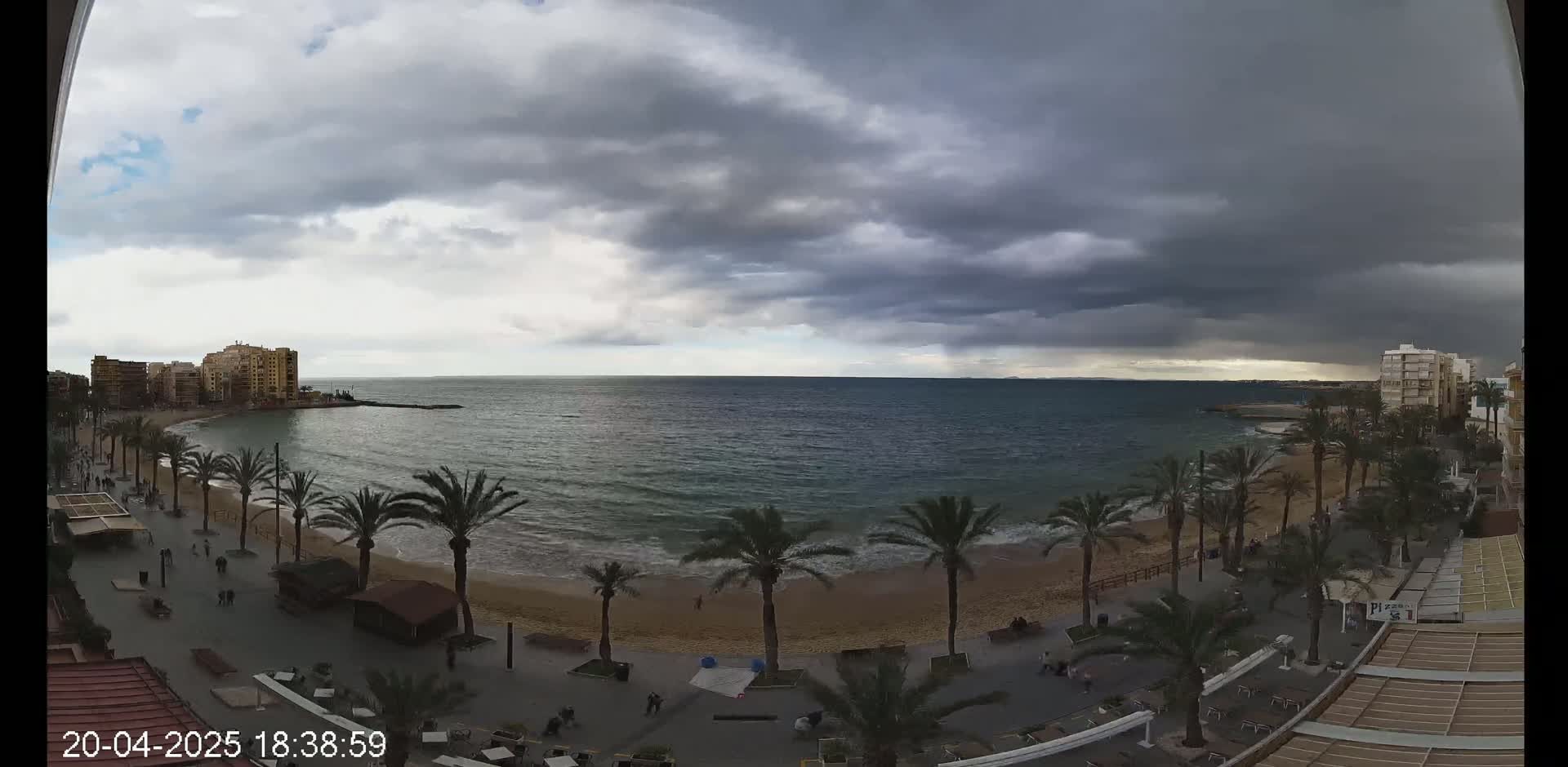 A sandy beach with palm trees lines a calm ocean under a heavily overcast sky.