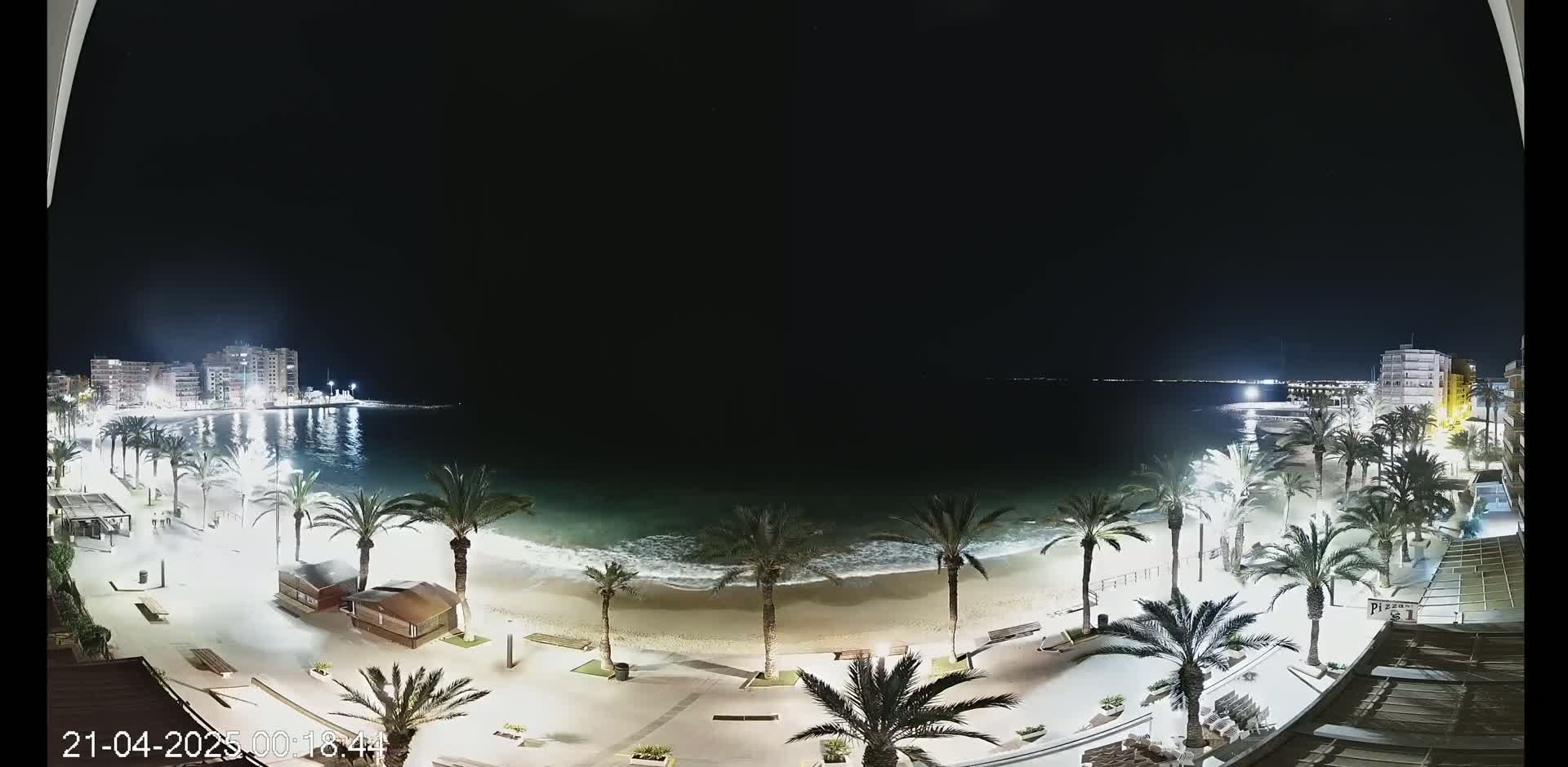A nighttime, illuminated view of a sandy beach with palm trees, calm water, and buildings along the shoreline under a clear, dark sky.