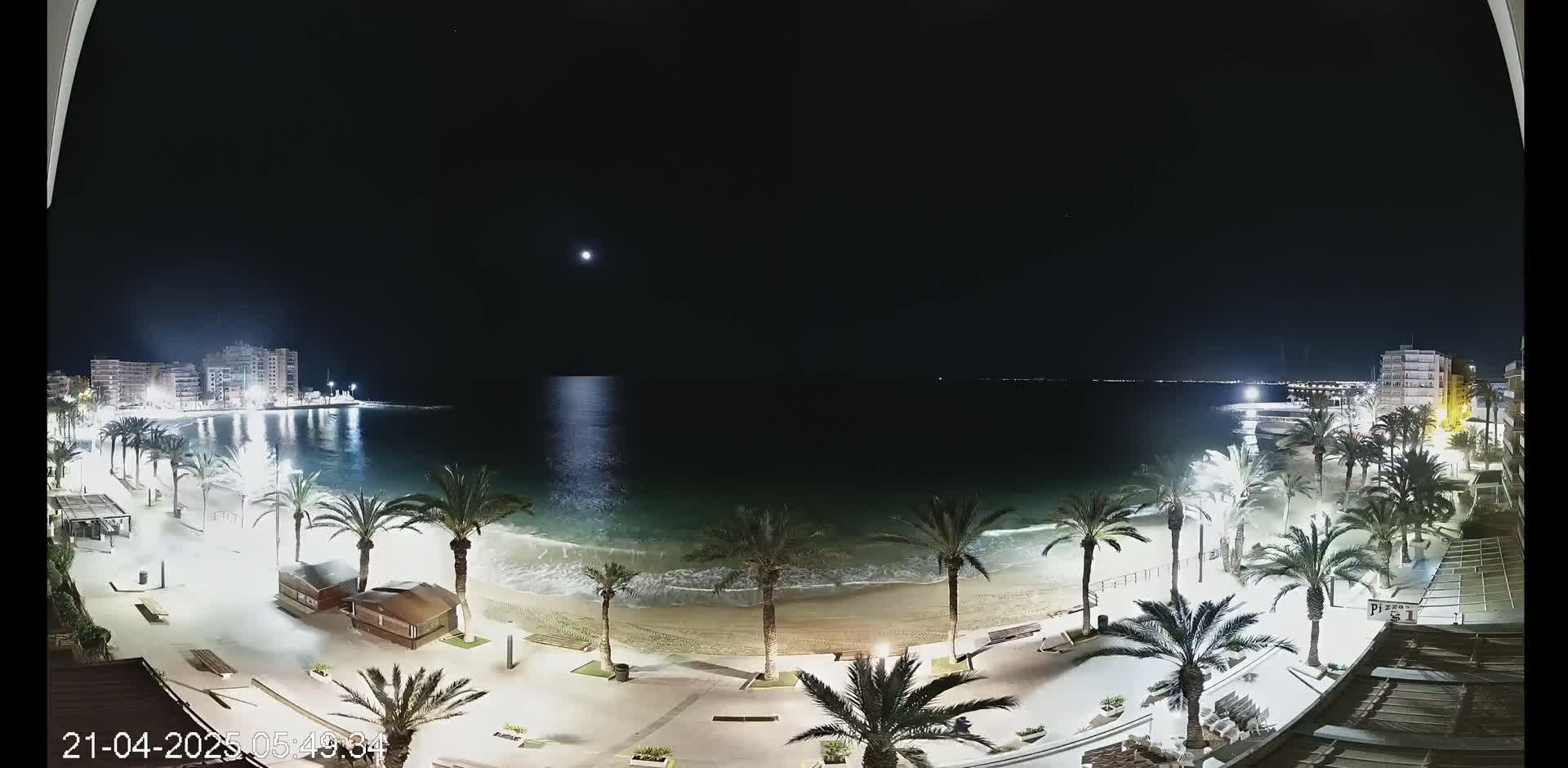 A moonlit night scene shows a beach with palm trees lining a paved walkway, buildings in the distance, and gentle waves lapping the shore.