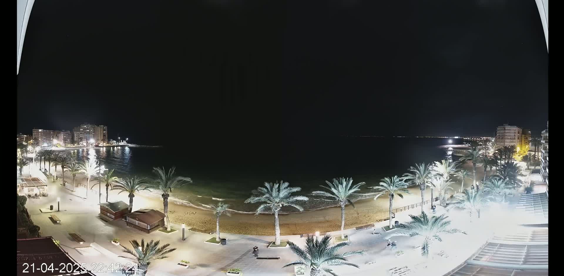 A nighttime view of a beach at night with palm trees lining the shore, buildings in the distance, and calm waves lapping the sand.