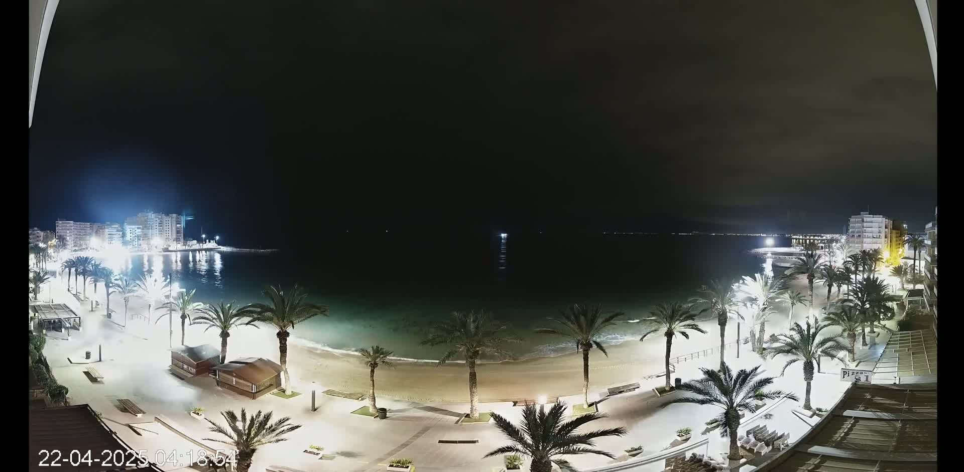 A nighttime view of a beach at night with palm trees lining a paved walkway, buildings in the background, and calm water under a dark sky.