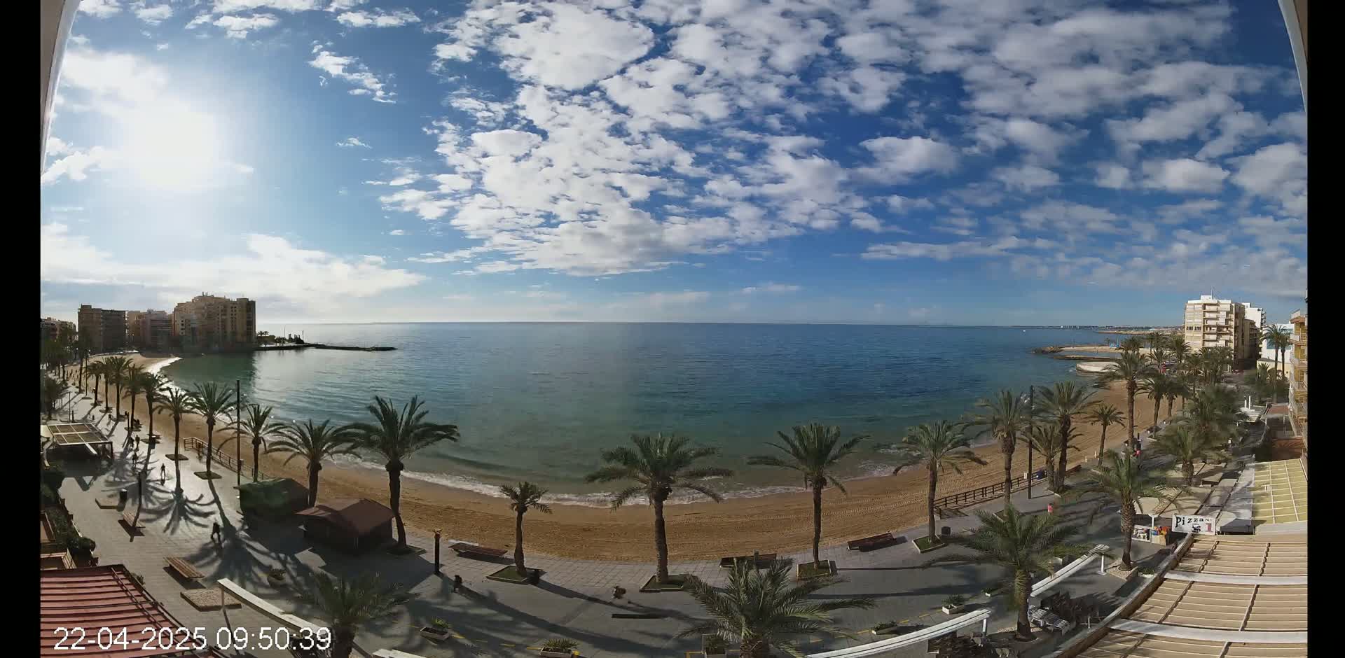 A sandy beach with palm trees lines a boardwalk beside a calm, blue ocean under a mostly sunny sky with scattered clouds.