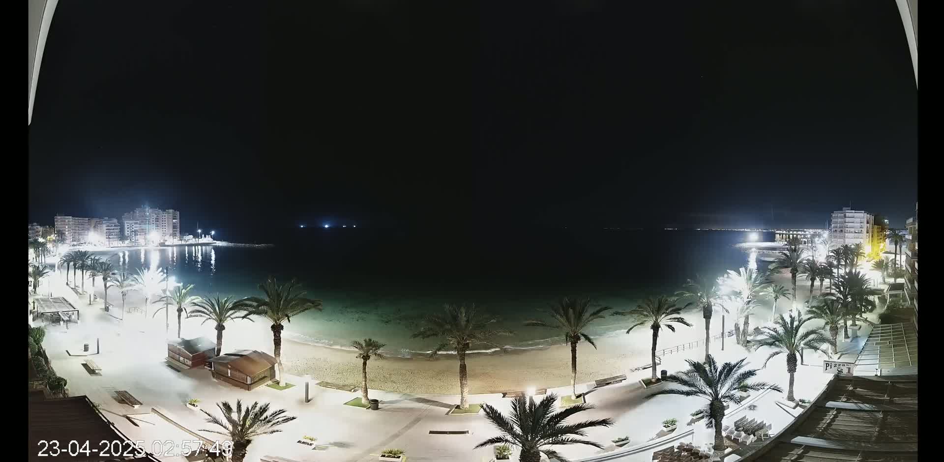 A nighttime view of a sandy beach lined with palm trees and illuminated buildings across a calm body of water.