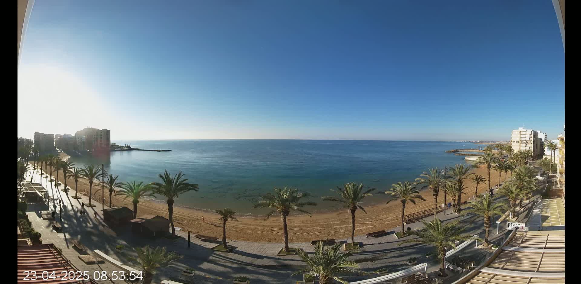 A sandy beach lined with palm trees stretches along a calm, blue ocean under a clear, sunny sky.