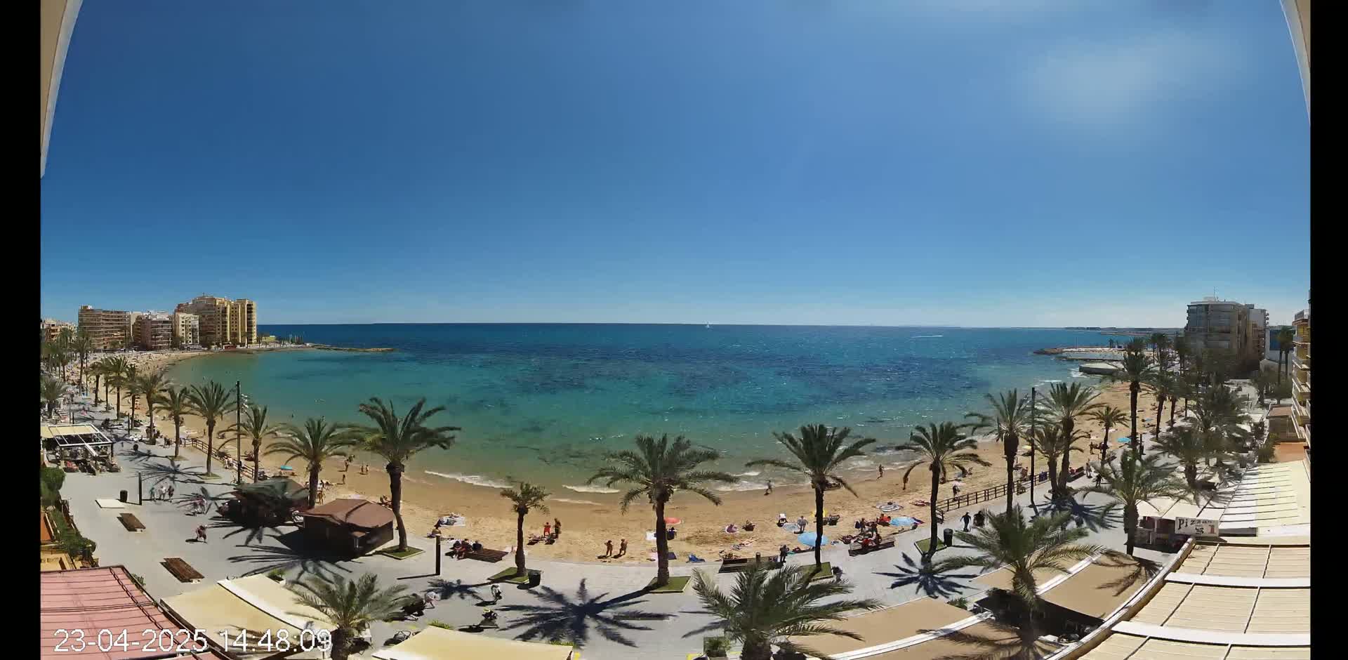 A sunny day shows a beach with turquoise water, palm trees lining a boardwalk, and buildings in the background.