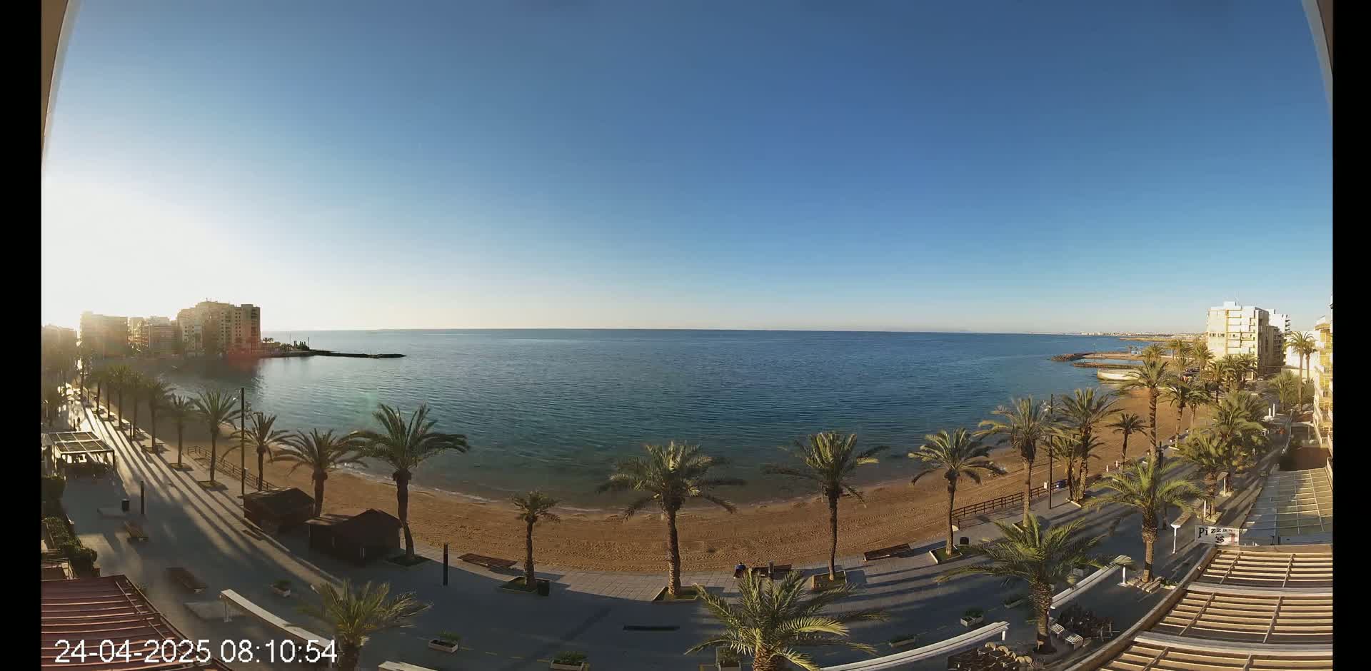 A sandy beach lined with palm trees and buildings sits beside a calm, blue sea under a clear, sunny sky.