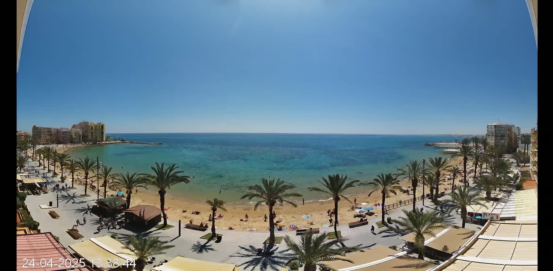 A sunny day at a sandy beach, lined with palm trees and buildings, shows a calm turquoise ocean under a clear blue sky.
