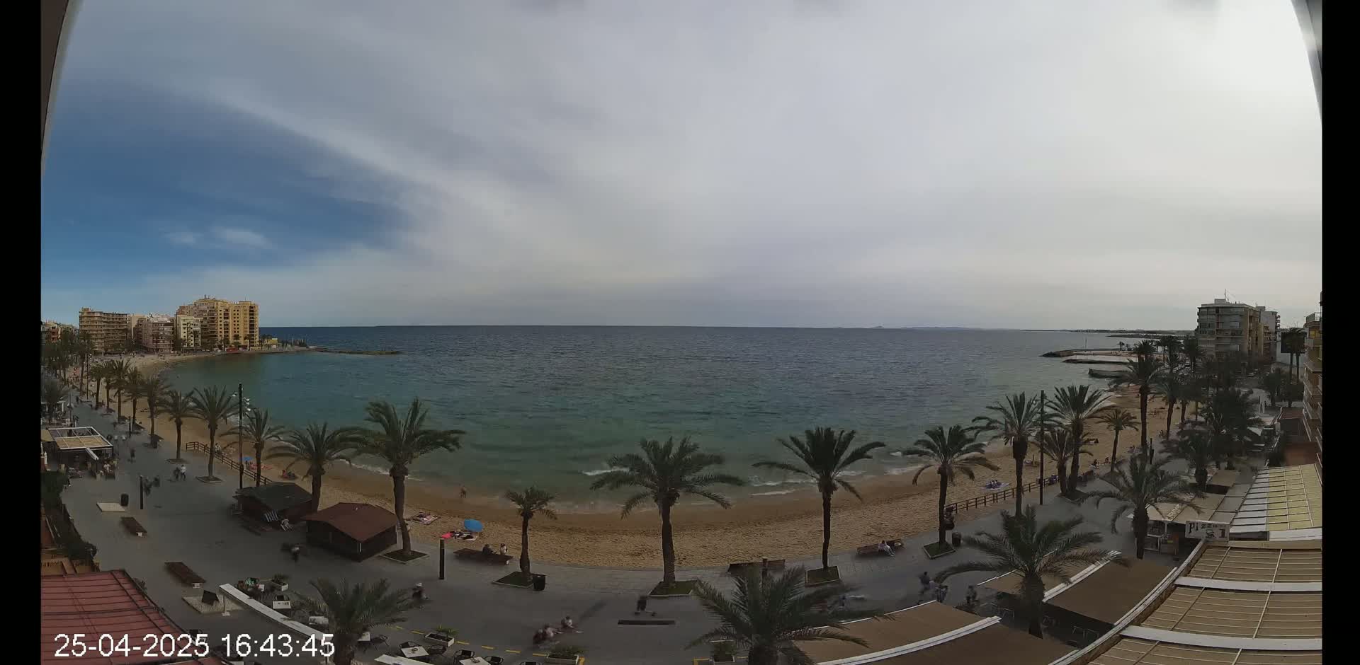 A sandy beach with palm trees lines a calm, blue-green sea under a mostly cloudy sky.