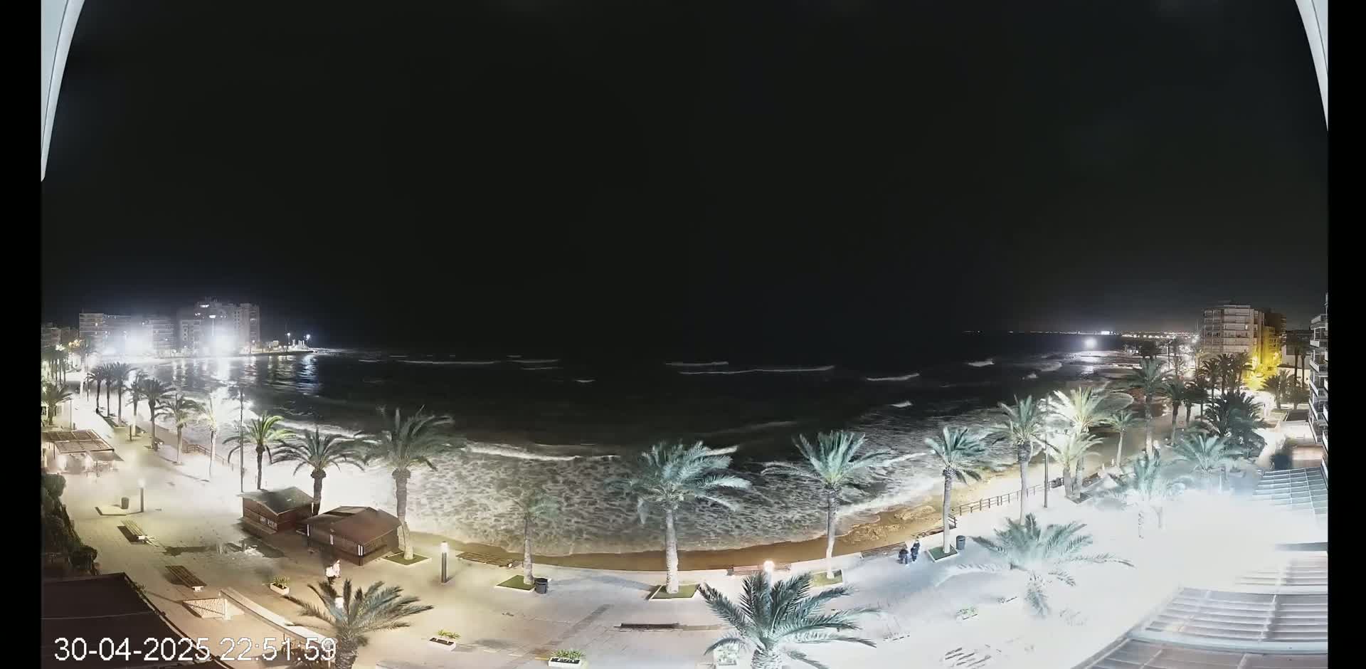 A nighttime view of a beach with moderately rough waves, palm trees lining the shore, and buildings visible in the distance under a clear, dark sky.