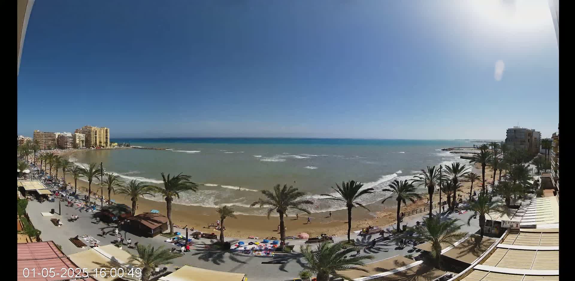 A sunny day at a beach with palm trees lining a boardwalk, buildings in the distance, and gentle waves lapping the shore.