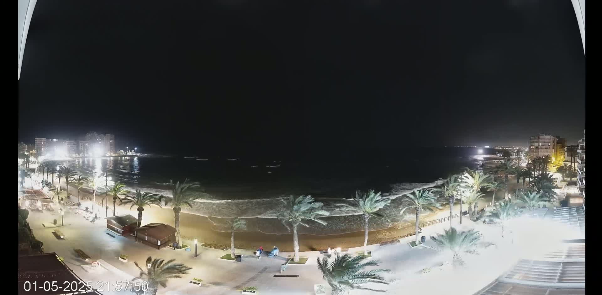 A nighttime view of a beach with palm trees lining the shore, gentle waves lapping at the sand, and buildings illuminated in the distance.