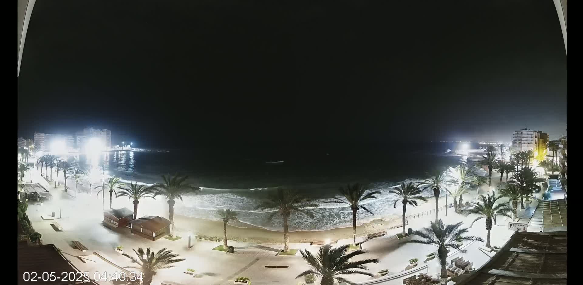 A nighttime view of a beach with palm trees lining a paved walkway, waves lapping the shore under a dark sky.