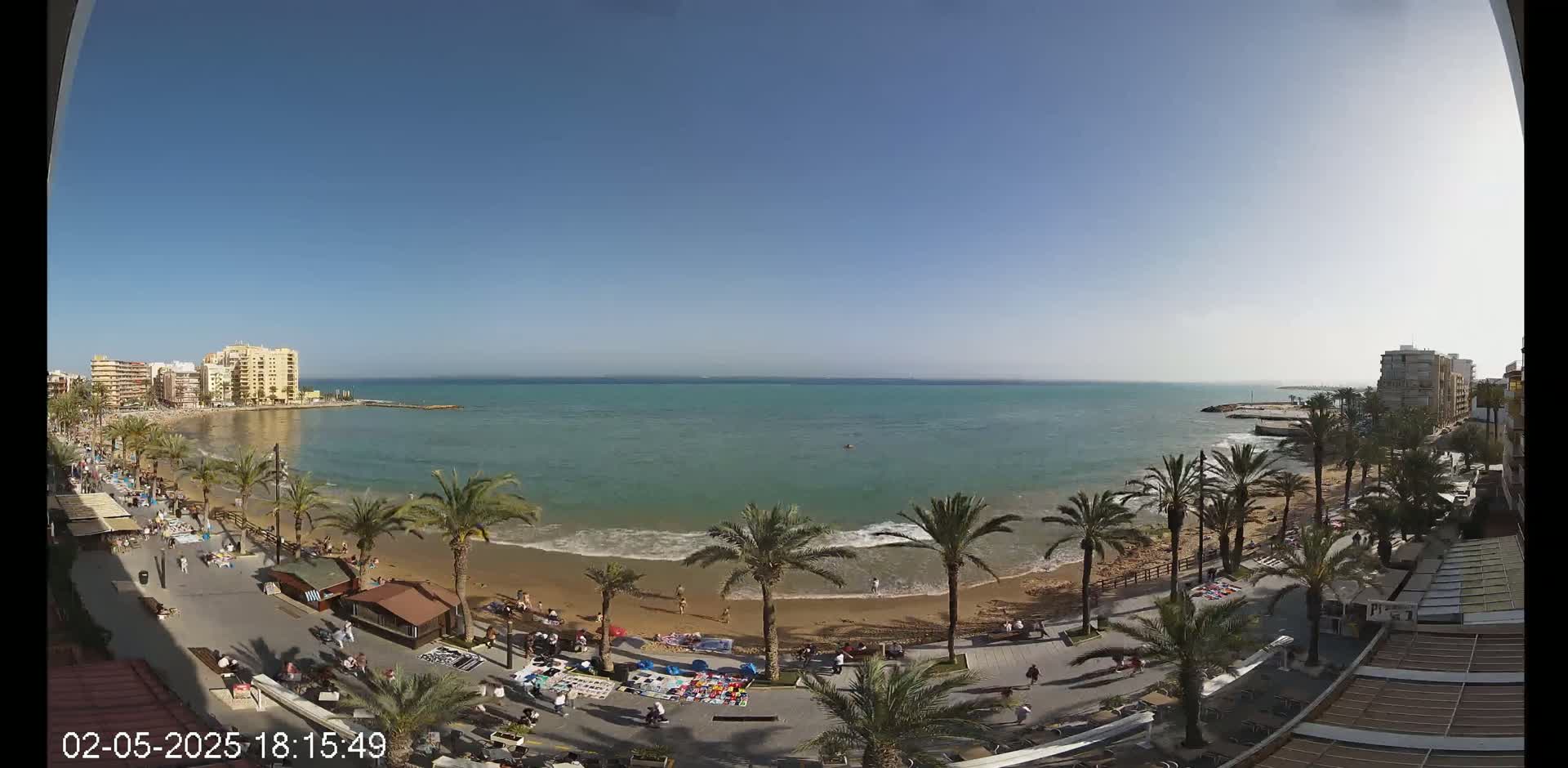 A sunny day reveals a sandy beach lined with palm trees, bordered by a paved walkway and buildings, with calm ocean waves lapping the shore.