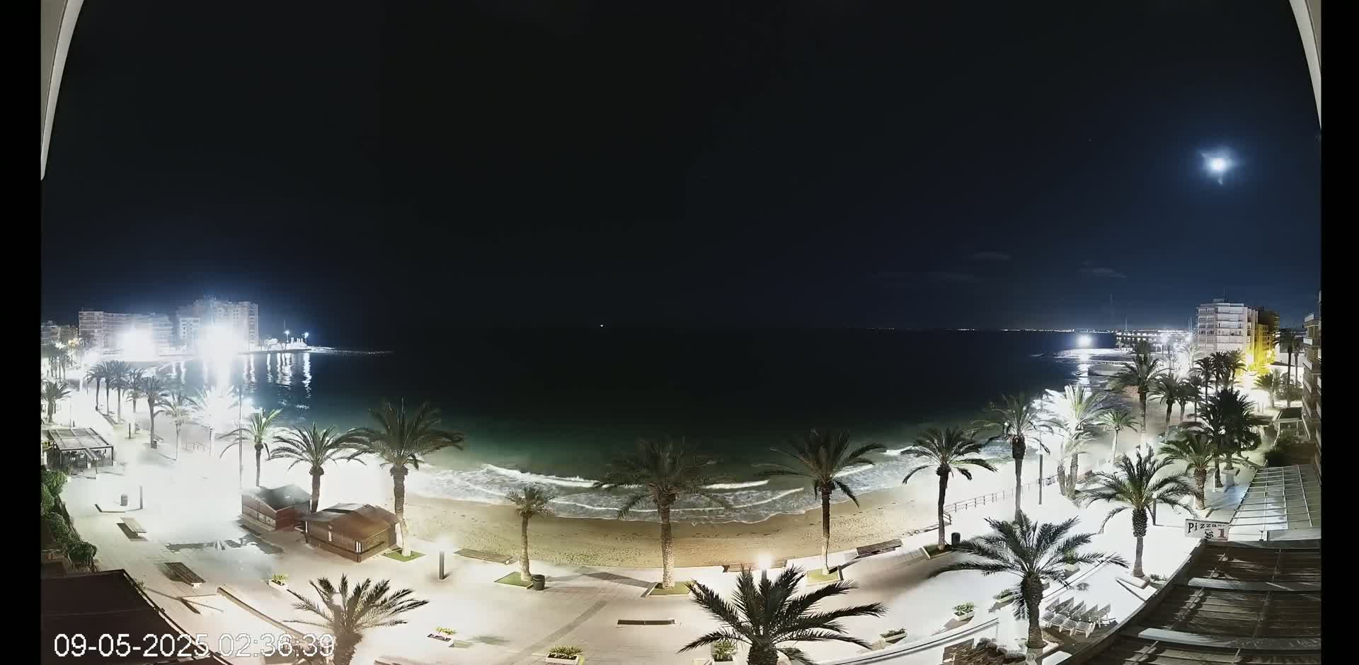 A moonlit beach at night, lined with palm trees and illuminated buildings, shows gentle waves lapping the shore.
