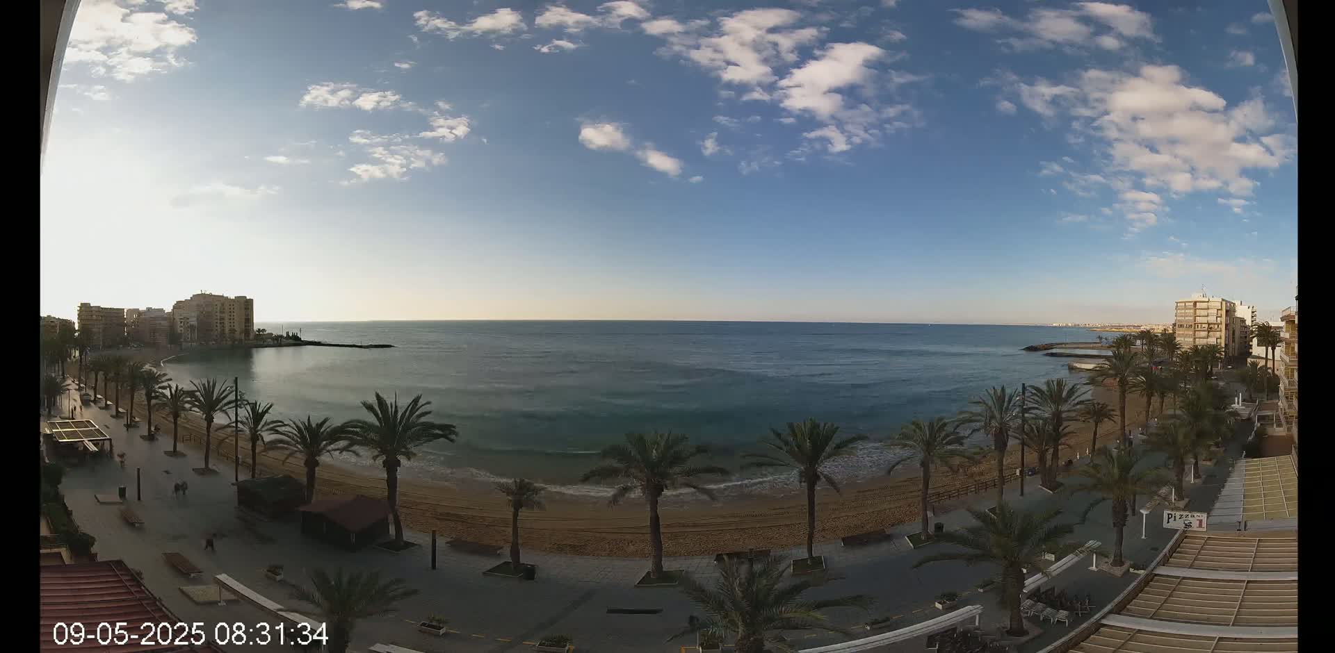 A sandy beach lined with palm trees and buildings stretches along a calm ocean under a partly cloudy sky.