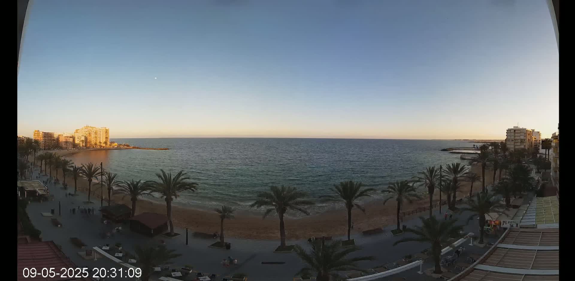 A sandy beach with palm trees lines a calm ocean at sunset, with buildings visible in the distance.