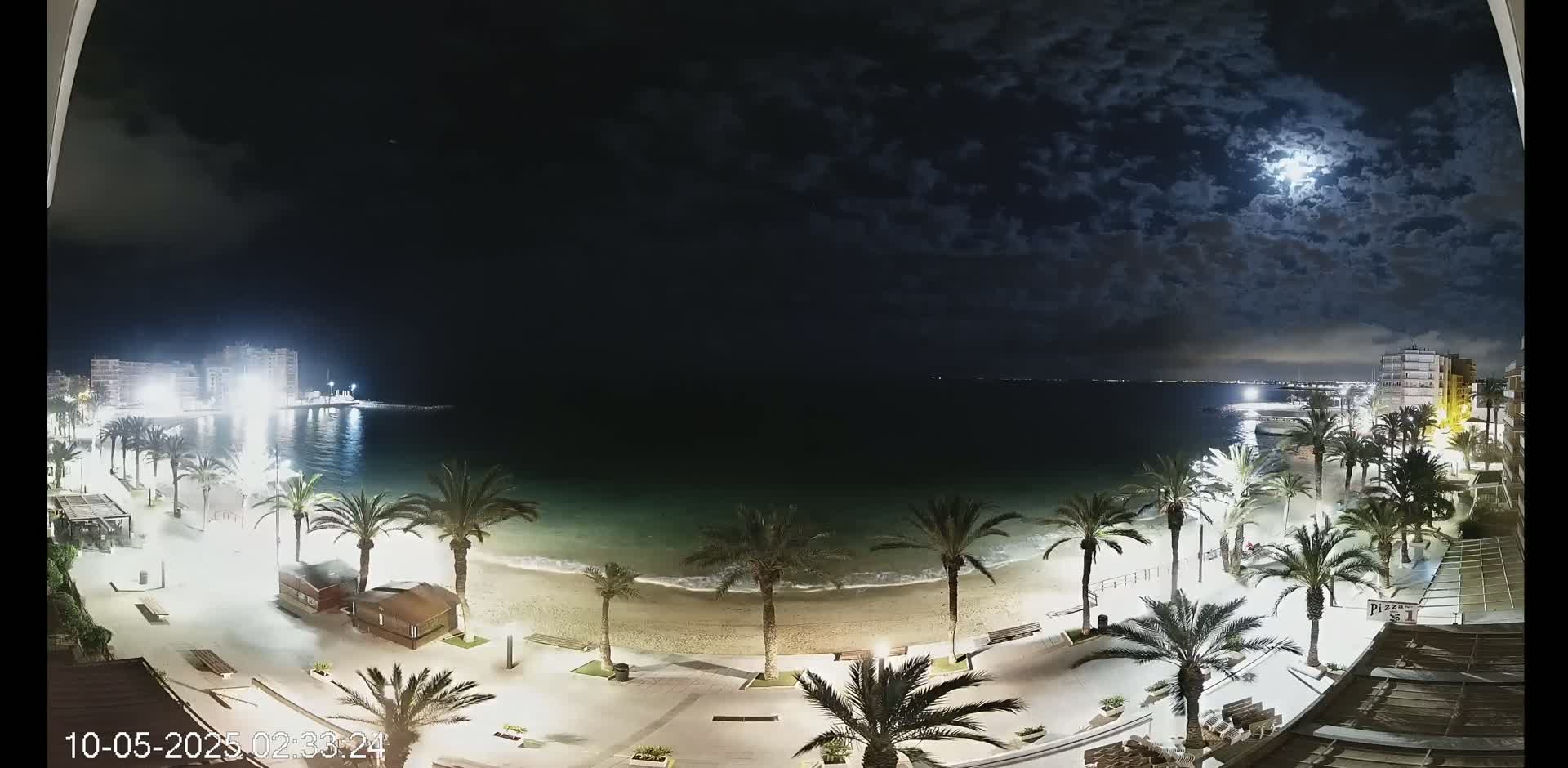 A moonlit night scene shows a beach with palm trees lining a promenade, buildings in the distance, and a calm sea under a partly cloudy sky.