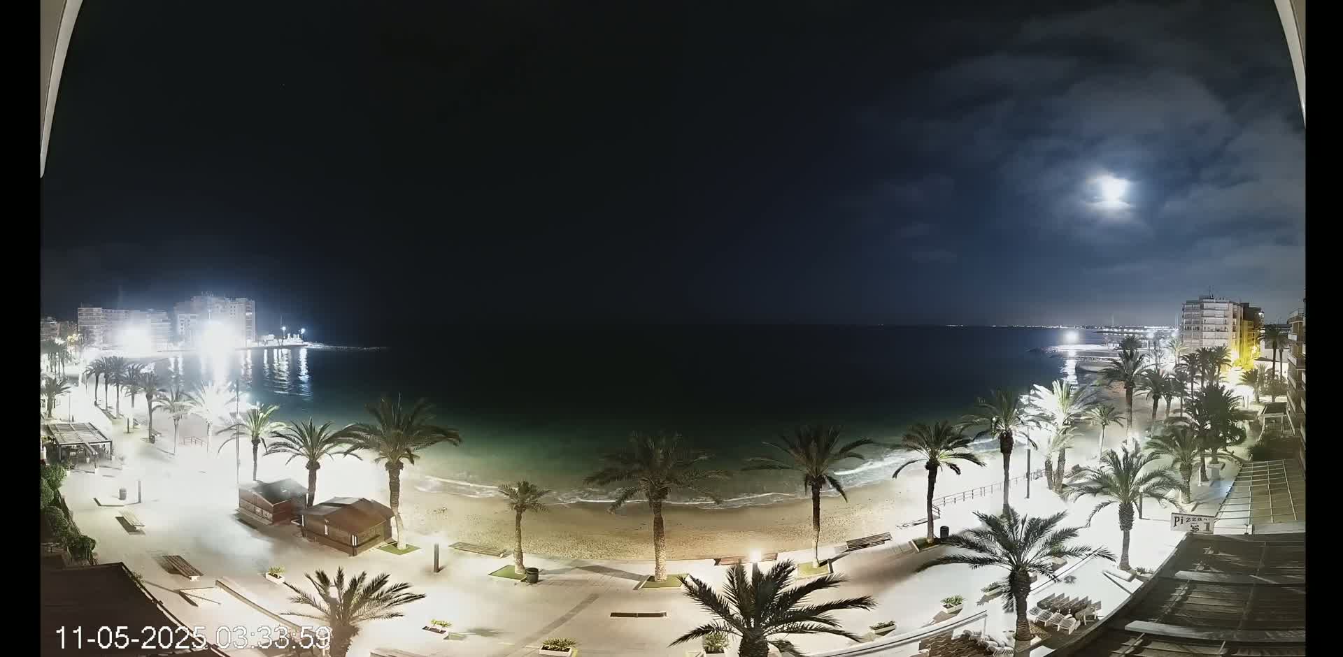 A nighttime view of a beach with palm trees lining a paved walkway, illuminated buildings in the distance, and a bright moon in a partly cloudy sky.