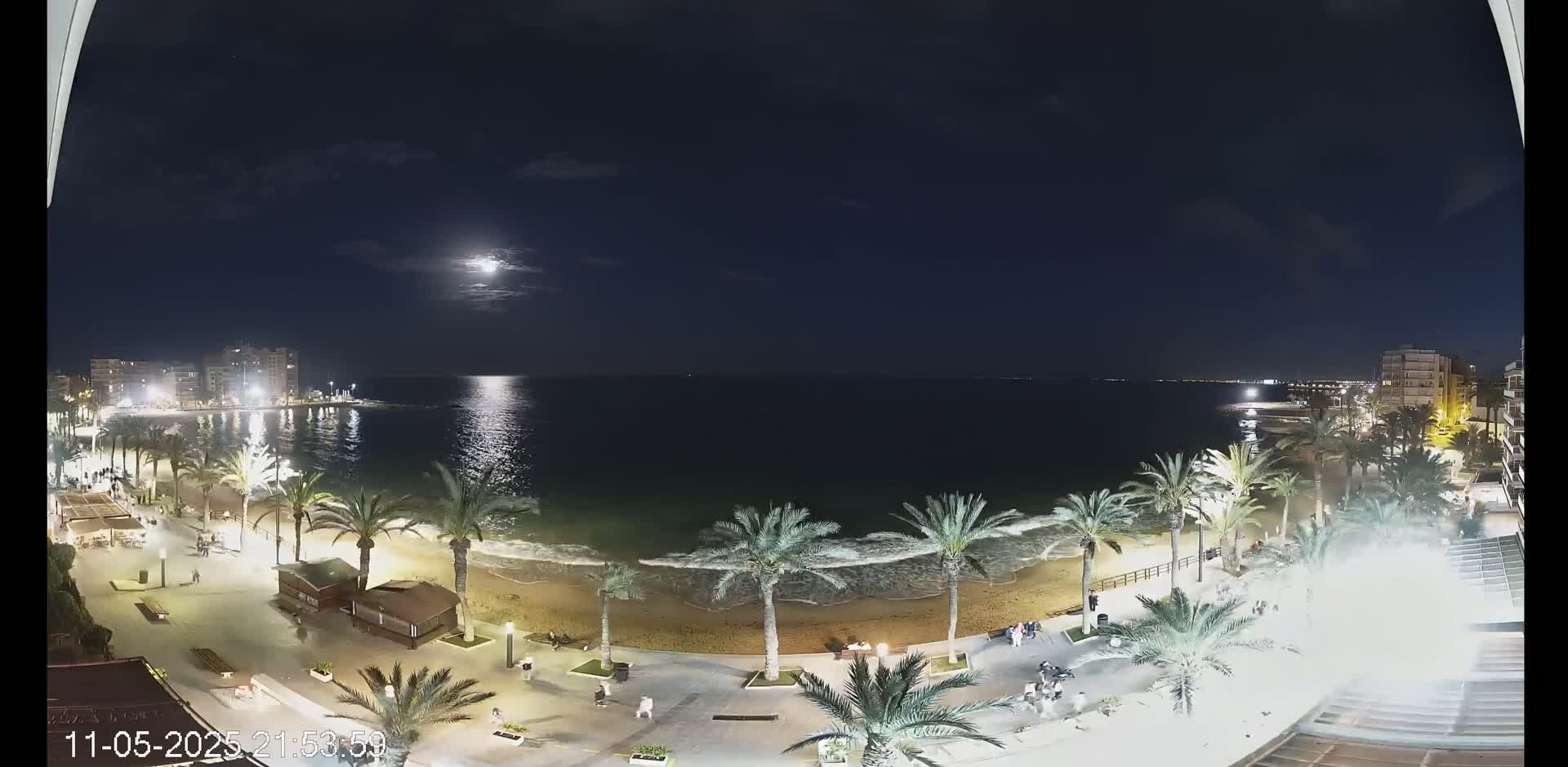 A nighttime view of a beach with palm trees lining a promenade, buildings in the distance, and a bright moon in the sky.