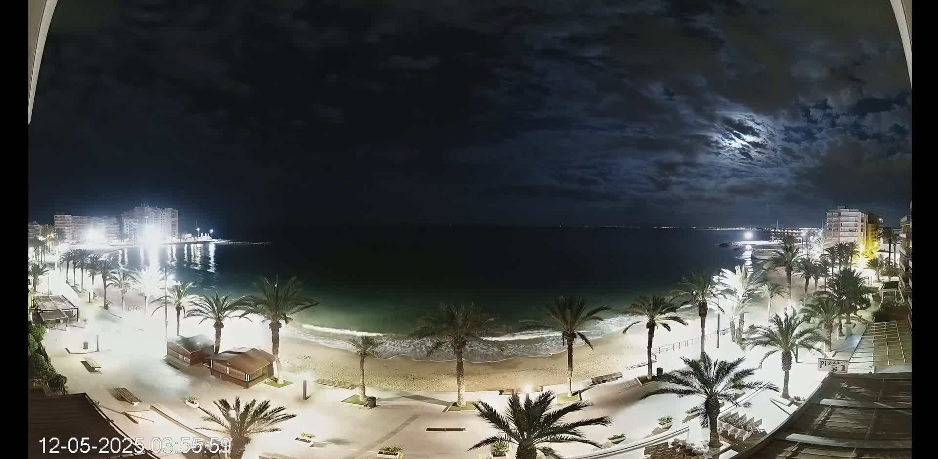 A nighttime beach scene under a partly cloudy moonlit sky shows palm trees lining a sandy beach, with buildings and lights visible in the background.
