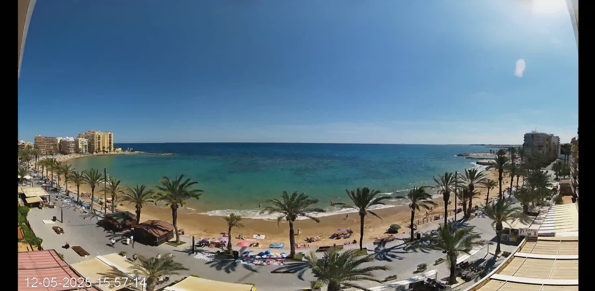 A sunny day at a beach with palm trees lining a boardwalk, overlooking calm, teal water and buildings in the distance.