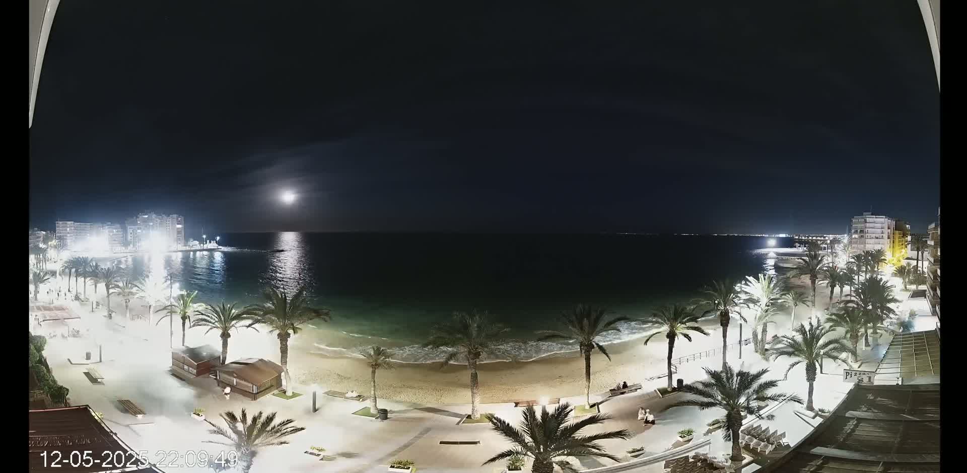 A nighttime view of a beach with palm trees lining the shore, under a partly cloudy sky with a bright moon.