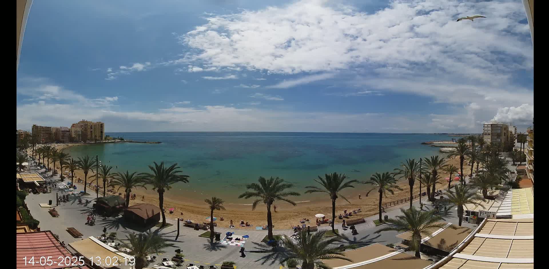 A sandy beach with palm trees and people is shown, next to a calm, clear turquoise ocean under a partly cloudy sky.
