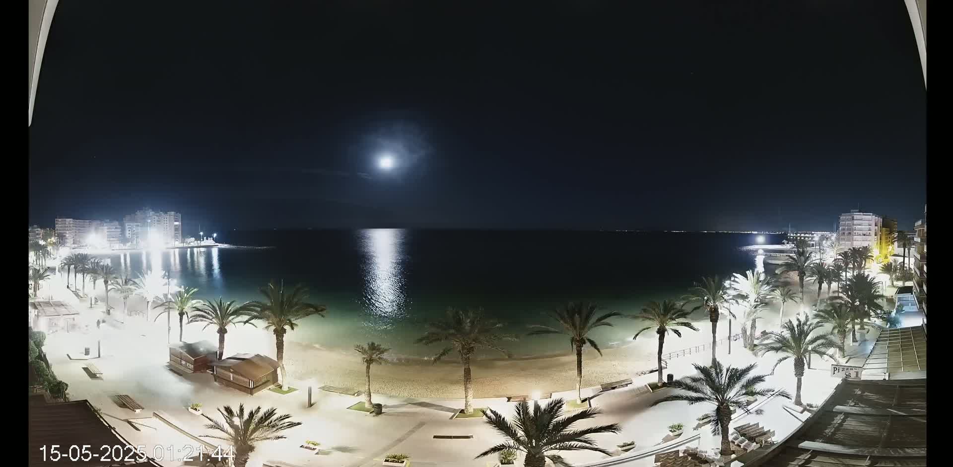 A moonlit night scene shows a beach with palm trees lining a paved walkway, buildings in the background, and a calm sea reflecting the moon's light.