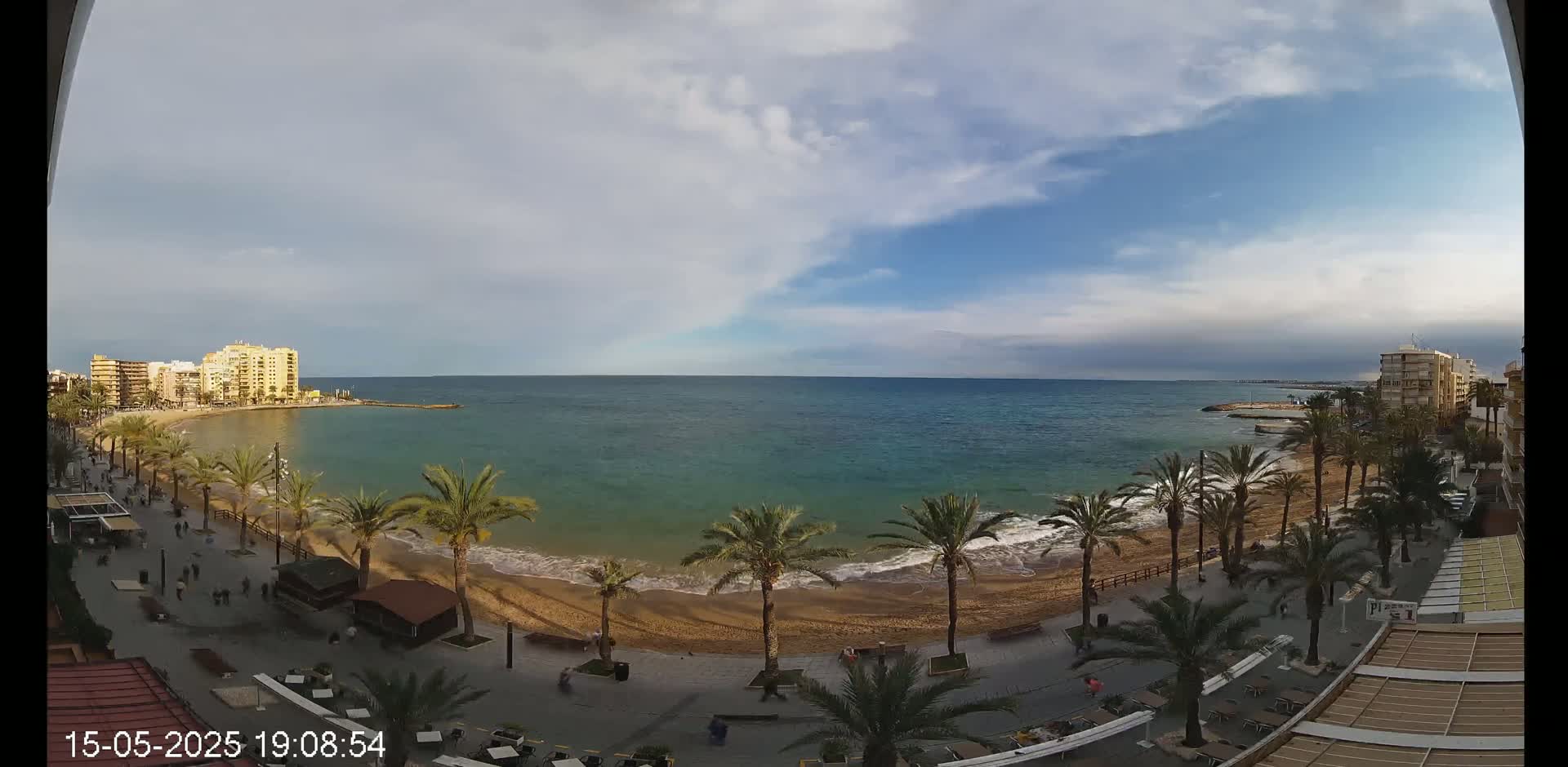 A sandy beach with palm trees lines a calm, teal ocean under a partly cloudy sky.