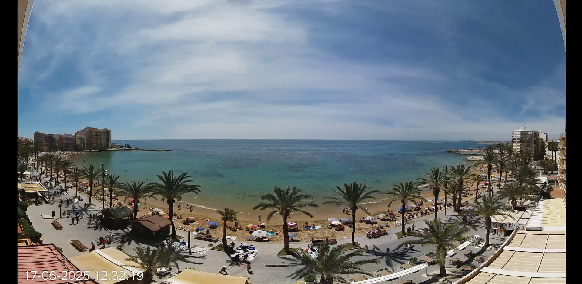 A sunny day at a beach with palm trees lining a promenade, and buildings visible in the distance.