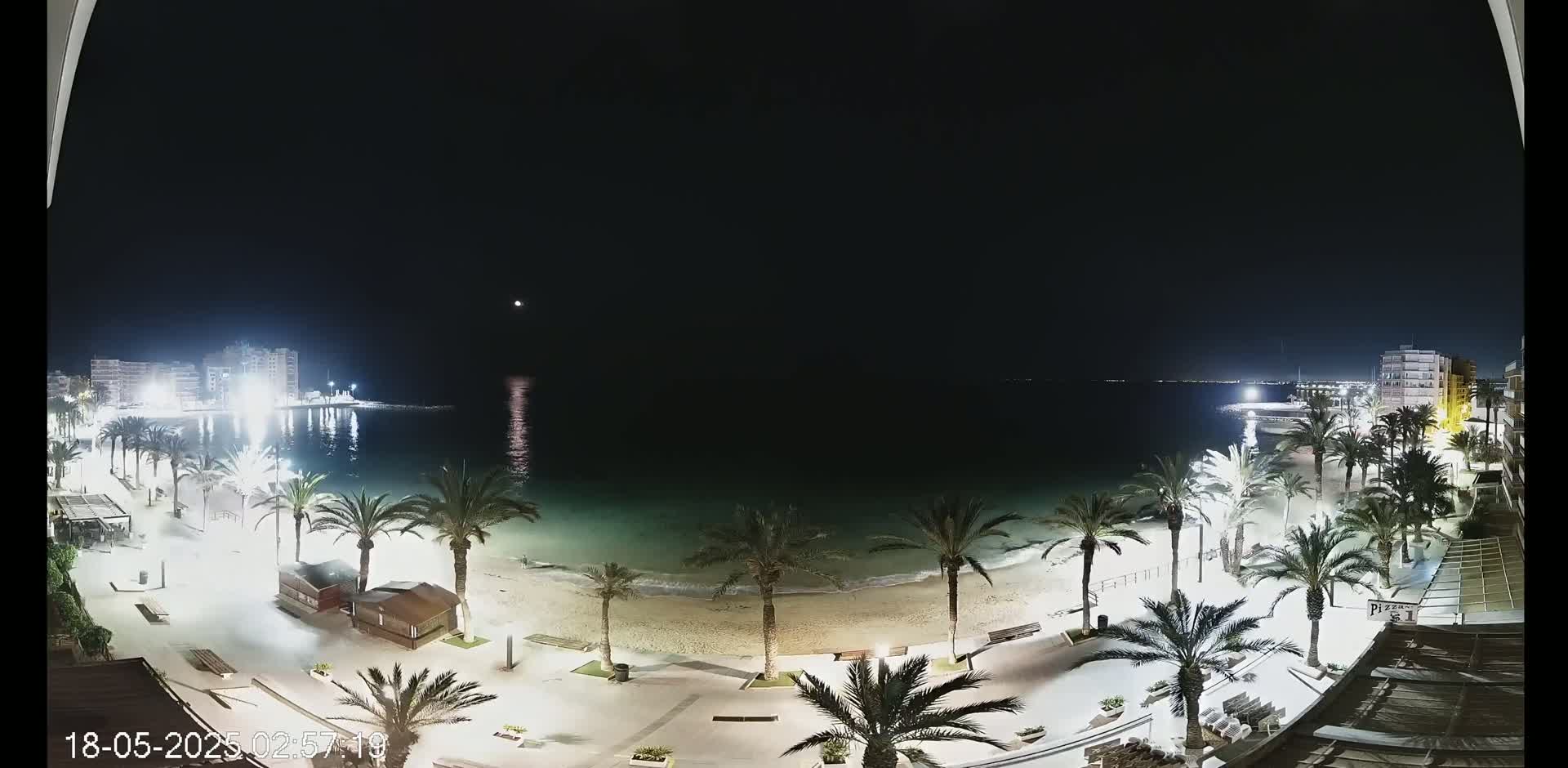 A nighttime view of a beach illuminated with lights, palm trees lining the shoreline, and buildings visible in the distance under a clear sky.